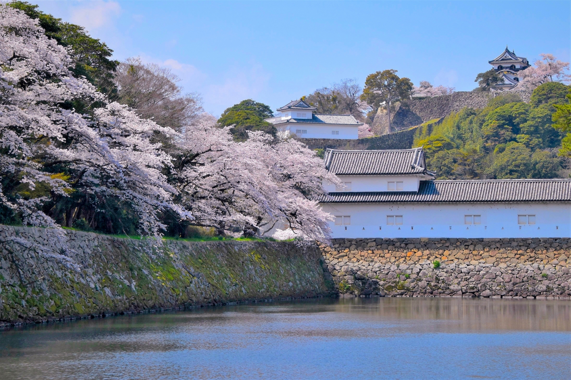 Echoes of the Edo Era: A Masterclass in Shogun Splendor at Hikone Castle - Japan Travel Guide | HOROSPO