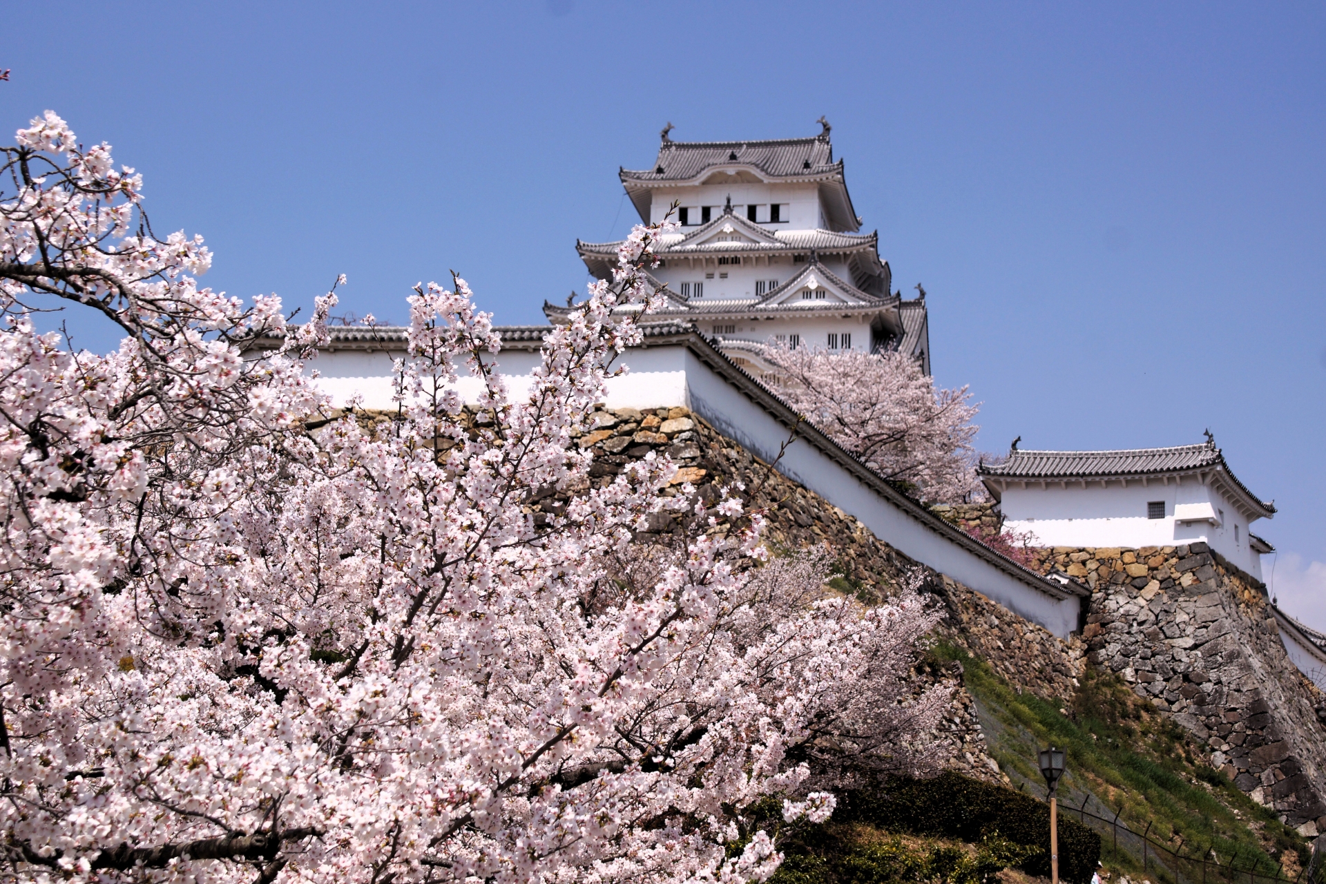 The White Heron’s Ascent: A Soulful Journey to Himeji Castle - Japan Travel Guide | HOROSPO