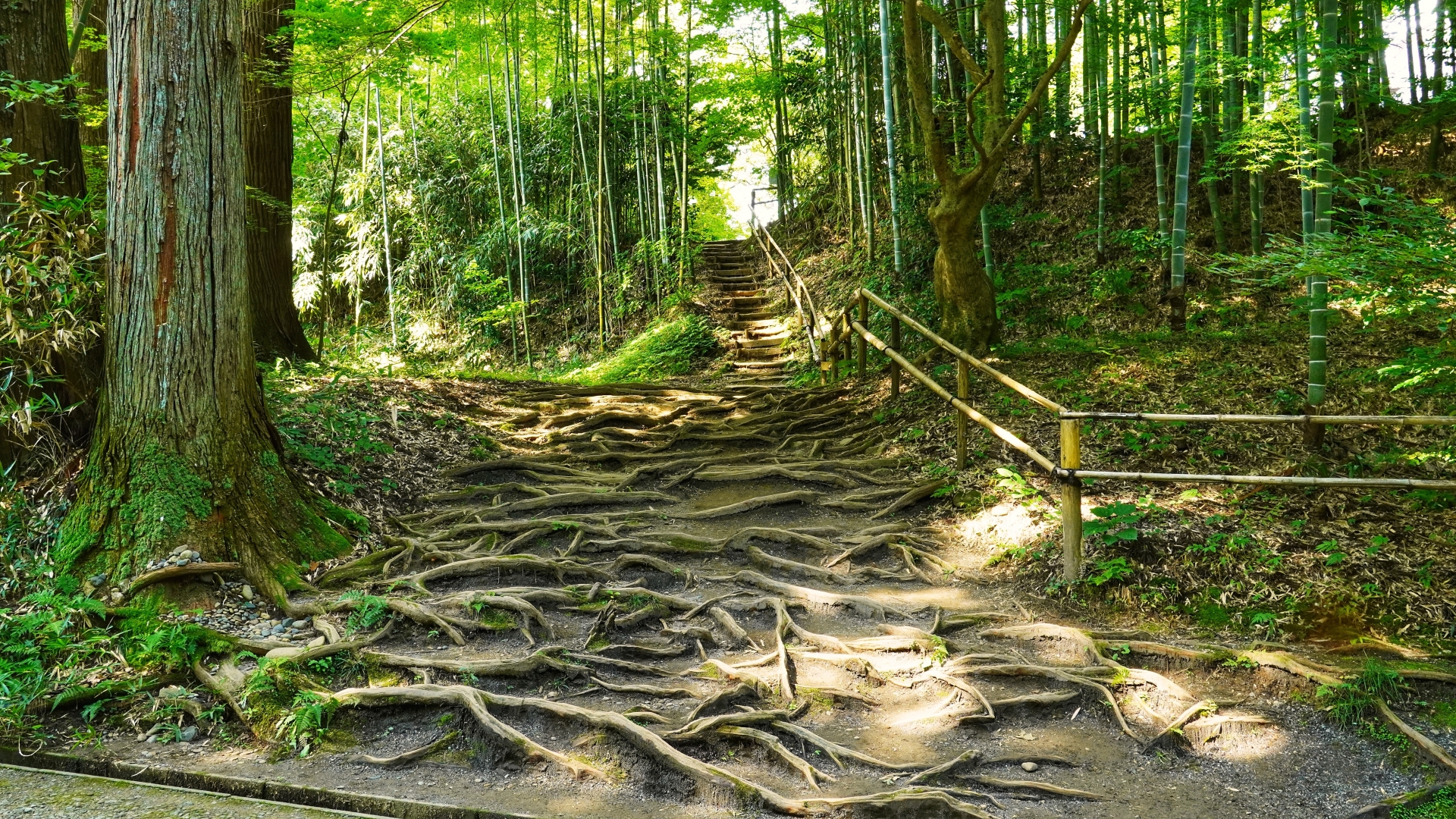 Atmospheric view of Hiraizumi - Japan Travel Guide