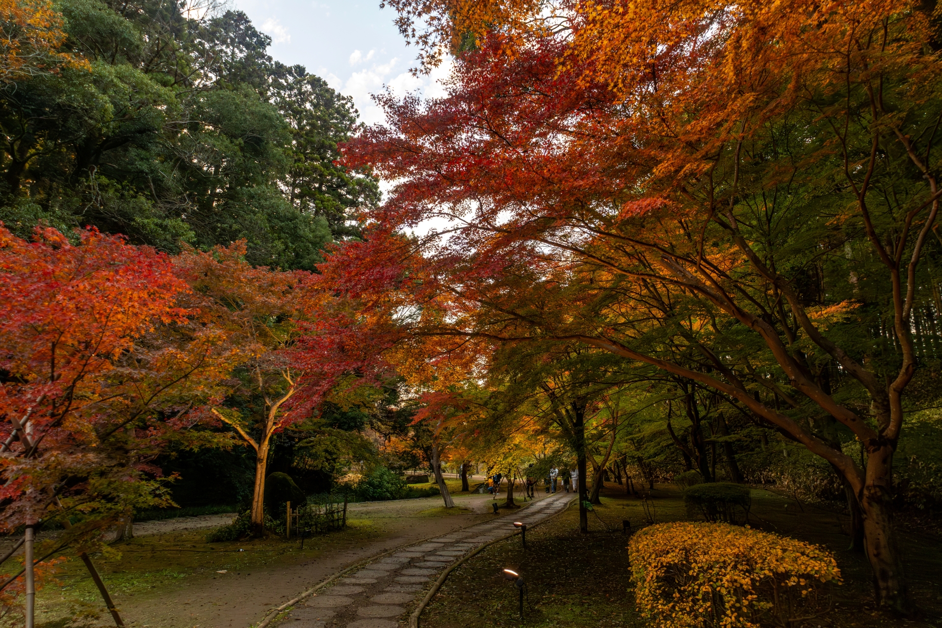 Whispers of Plum Blossoms: A Sensory Journey Through Kairakuen’s Timeless Elegance - Japan Travel Guide | HOROSPO