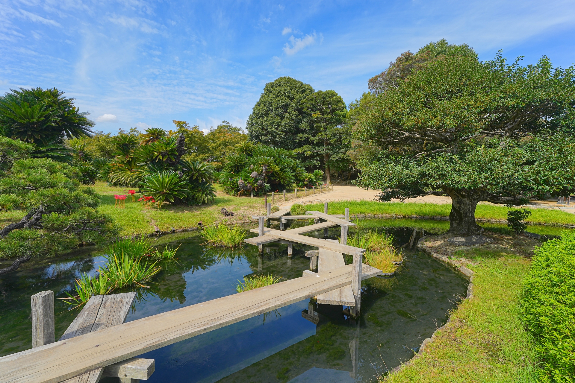 Atmospheric view of Korakuen Garden - Japan Travel Guide
