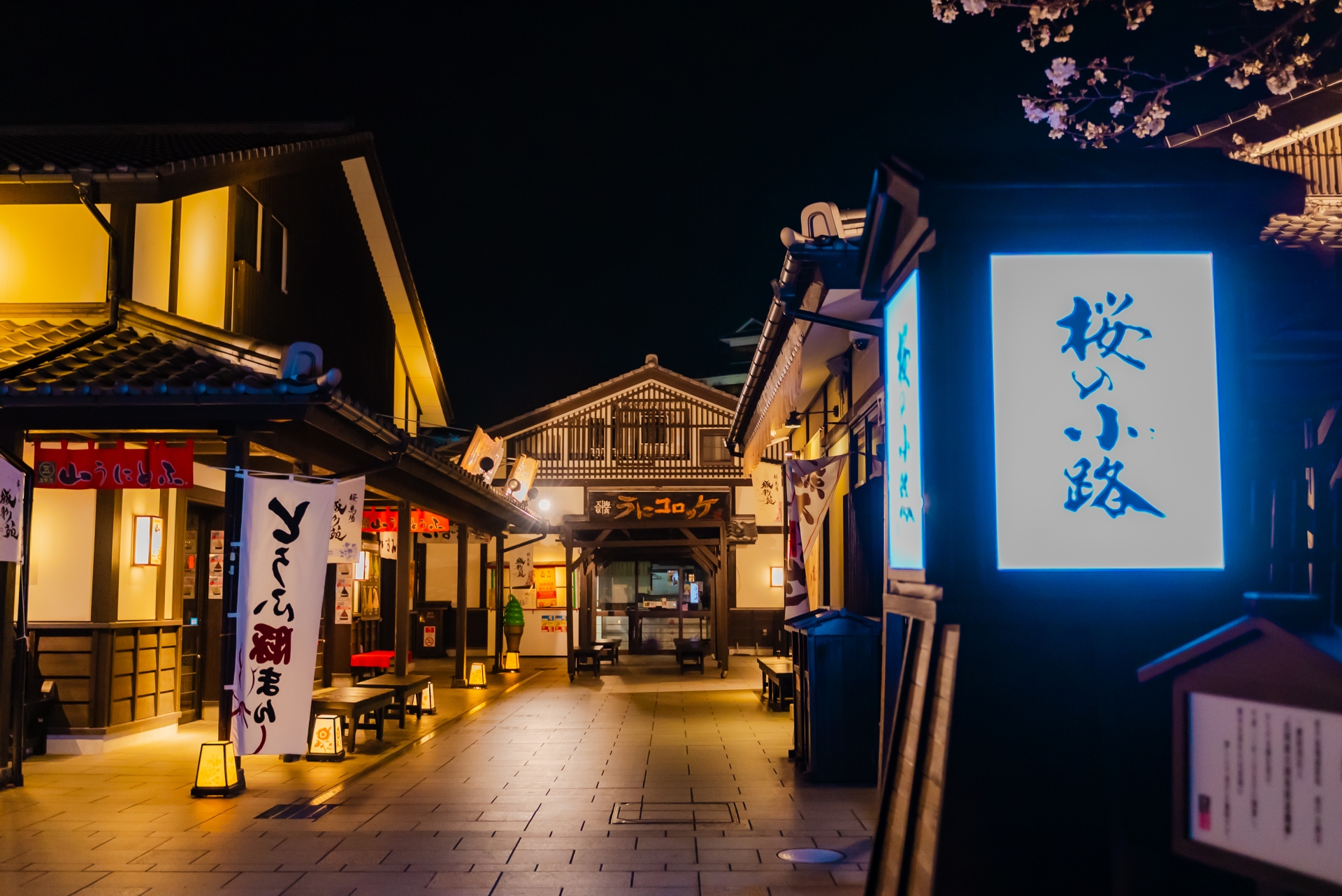 Atmospheric view of Kumamoto Castle - Japan Travel Guide