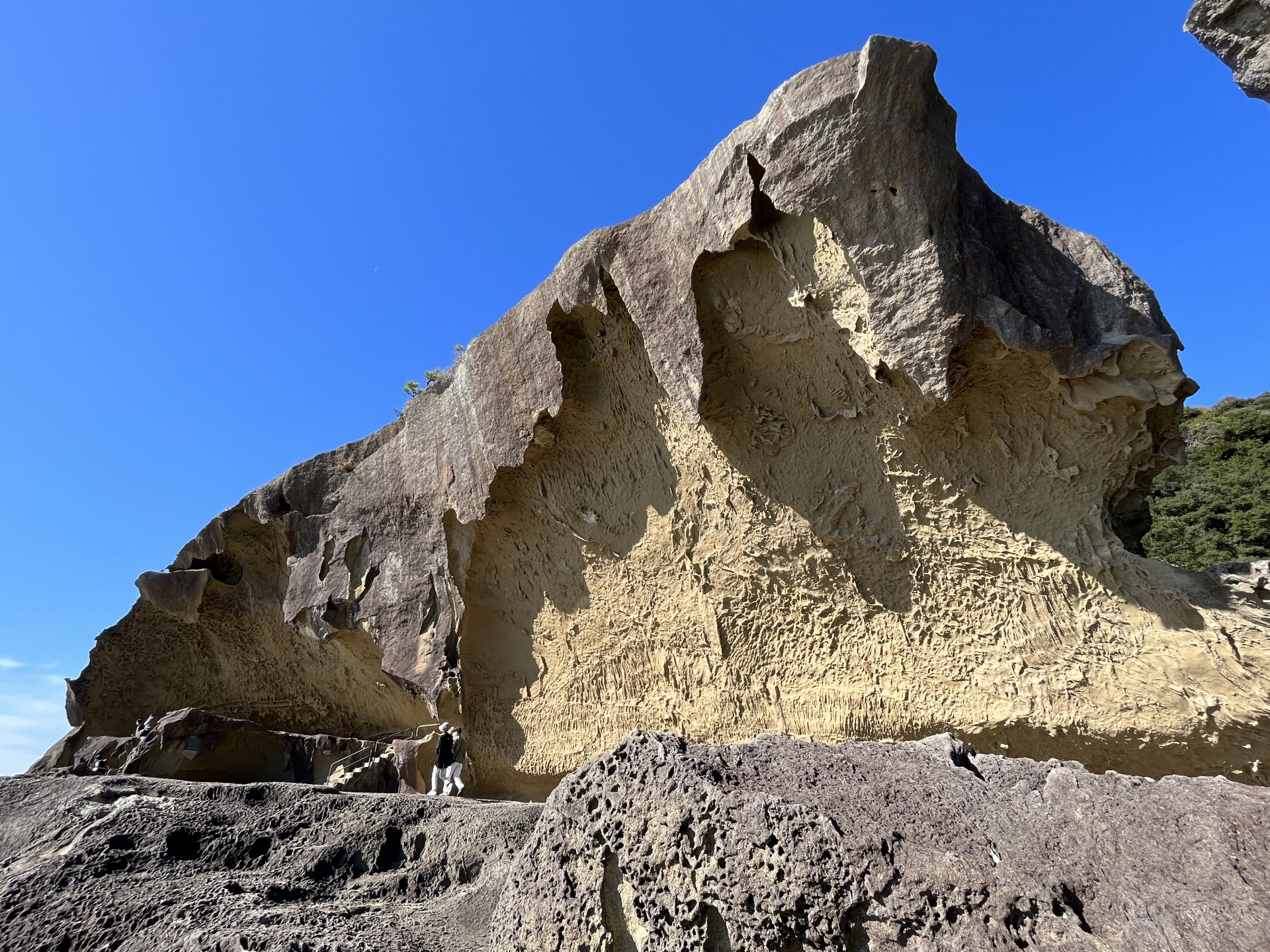 Atmospheric view of Kumano Kodo Trail - Japan Travel Guide