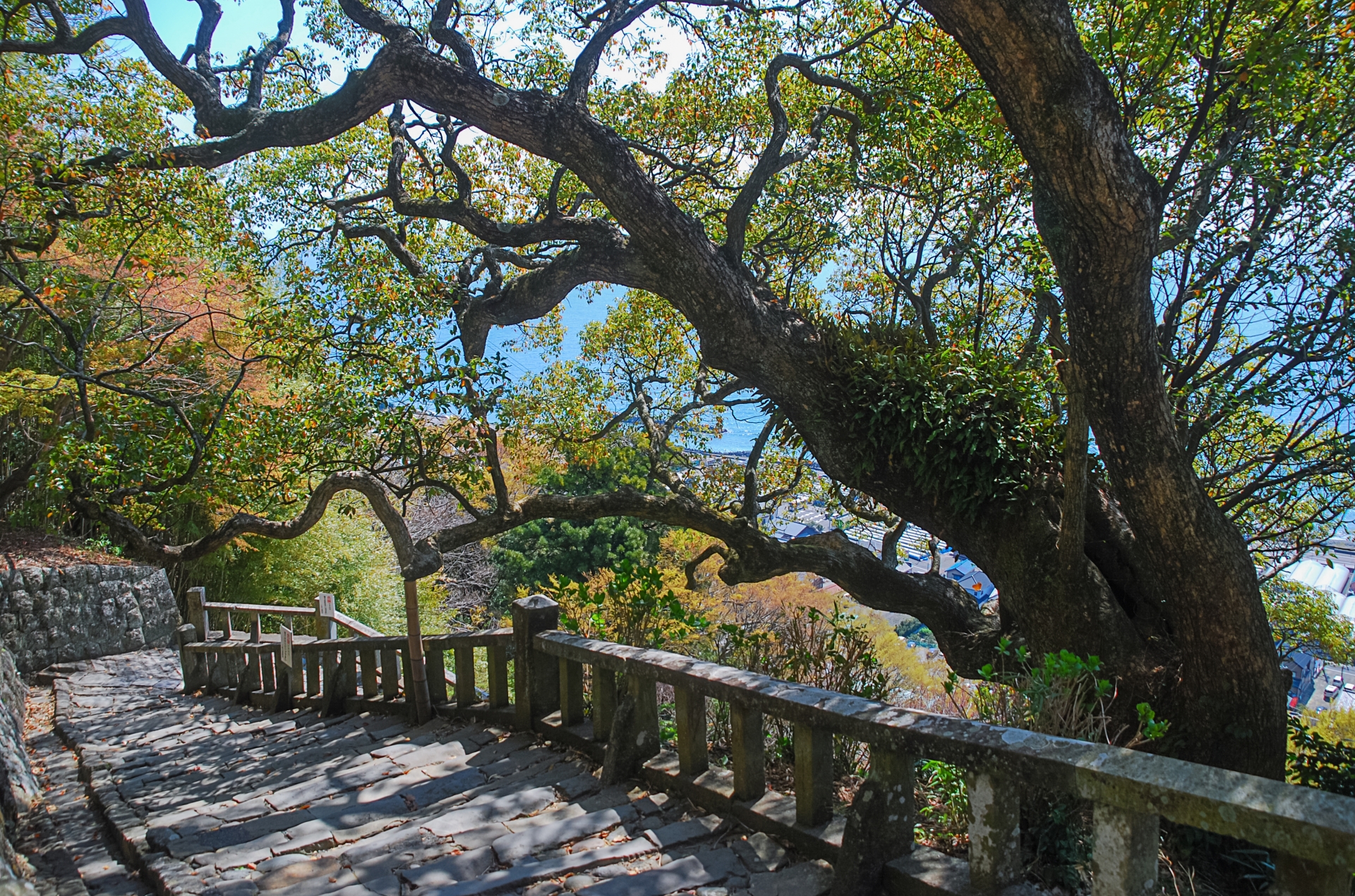 Atmospheric view of Kunozan Toshogu - Japan Travel Guide