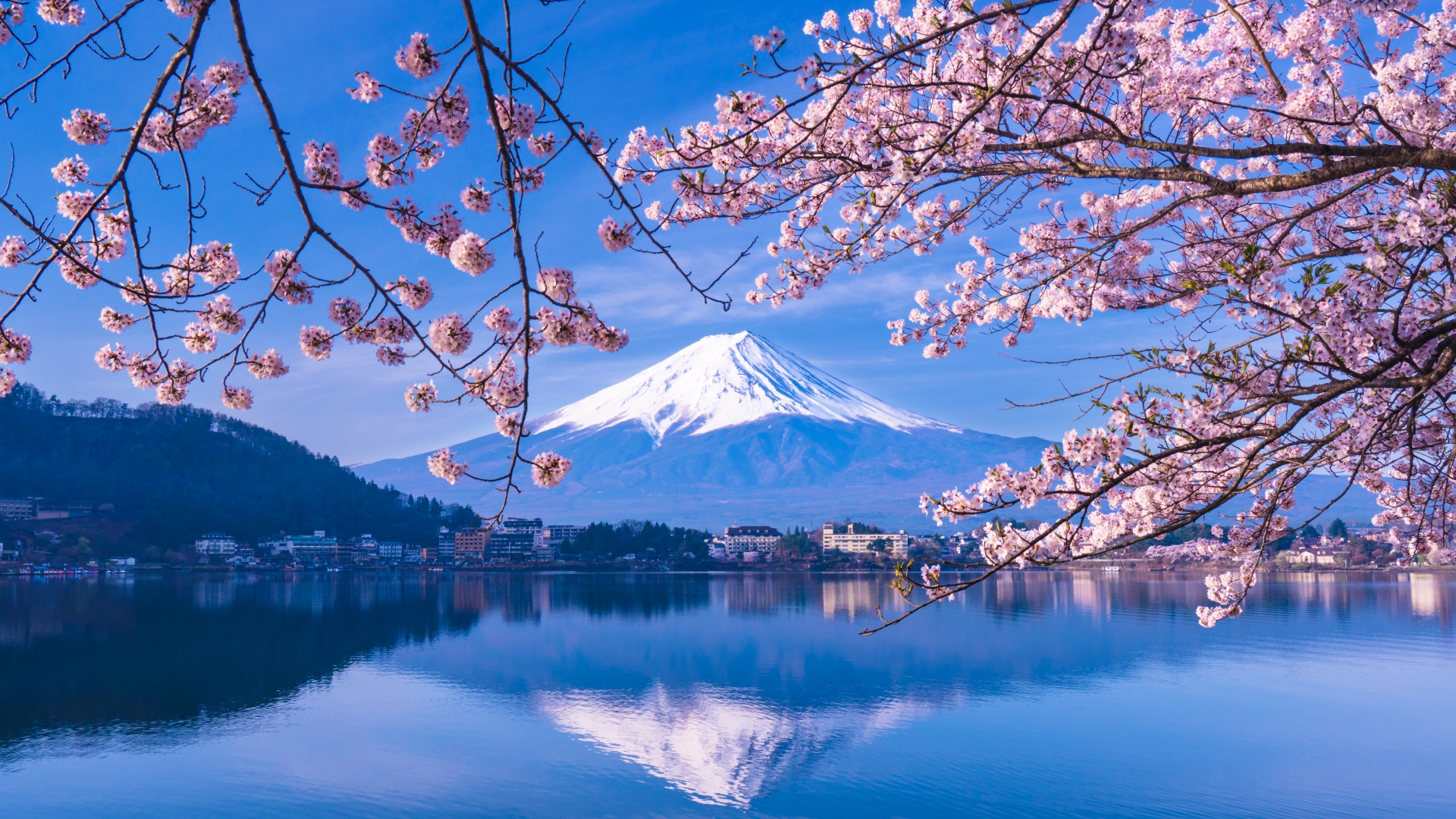 Mirror of the Soul: A Sacred Pilgrimage to Lake Kawaguchi - Japan Travel Guide | HOROSPO