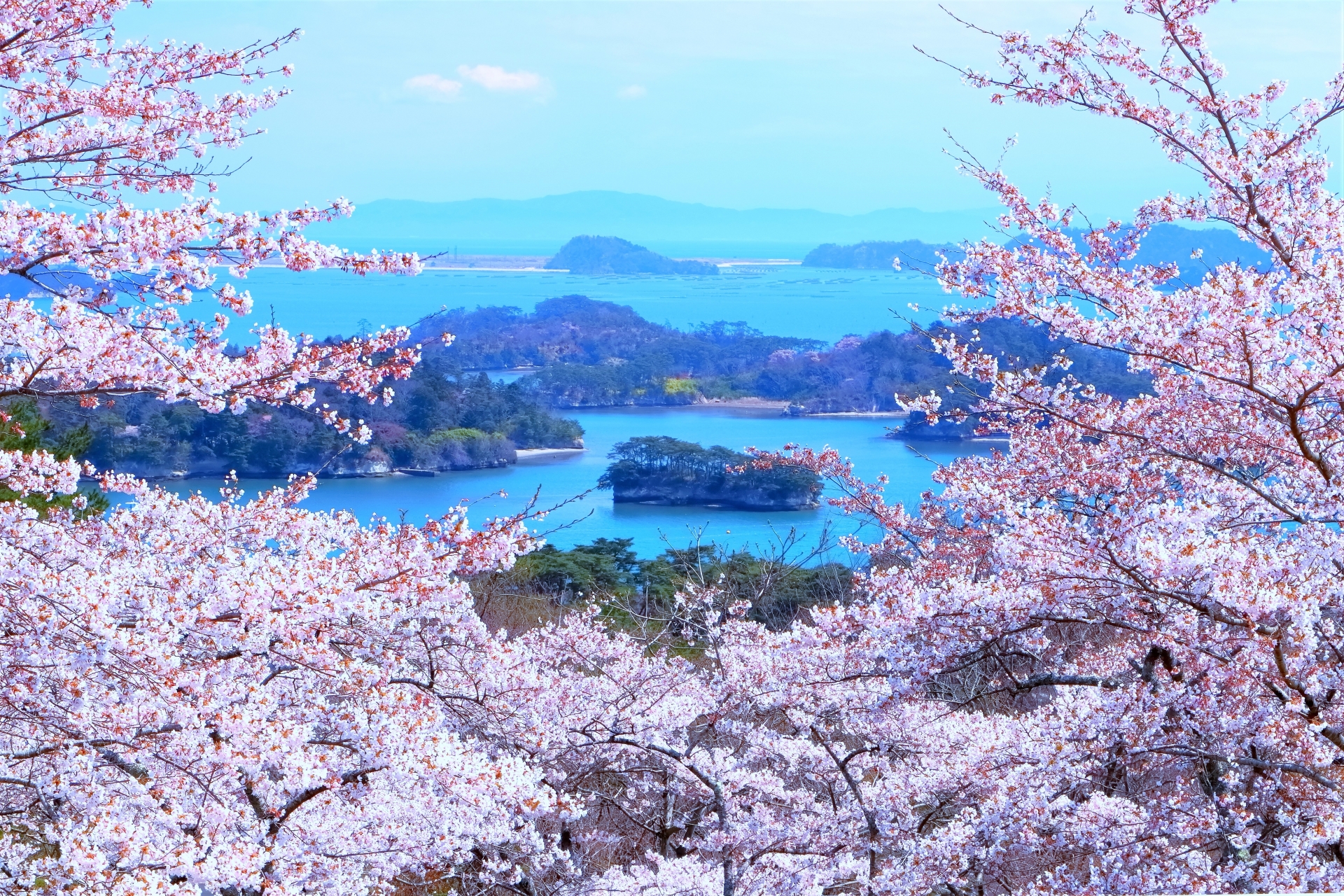 Whispers of the Pine Islands: A Soulful Voyage Through Matsushima Bay - Japan Travel Guide | HOROSPO
