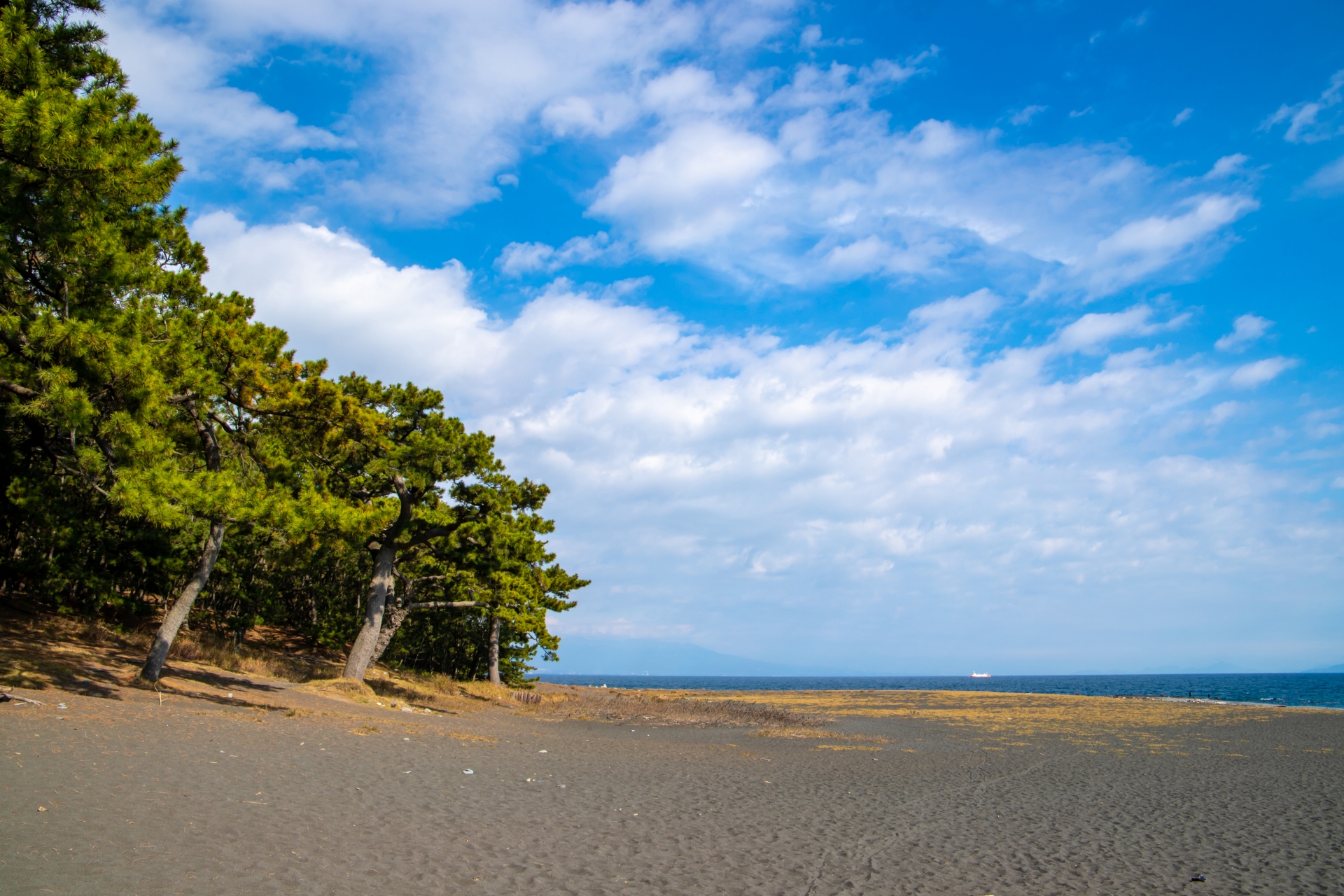 Atmospheric view of Miho no Matsubara - Japan Travel Guide