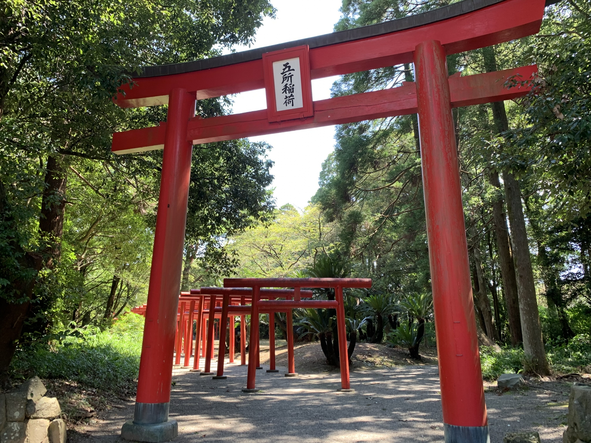 Atmospheric view of Miyazaki Shrine - Japan Travel Guide