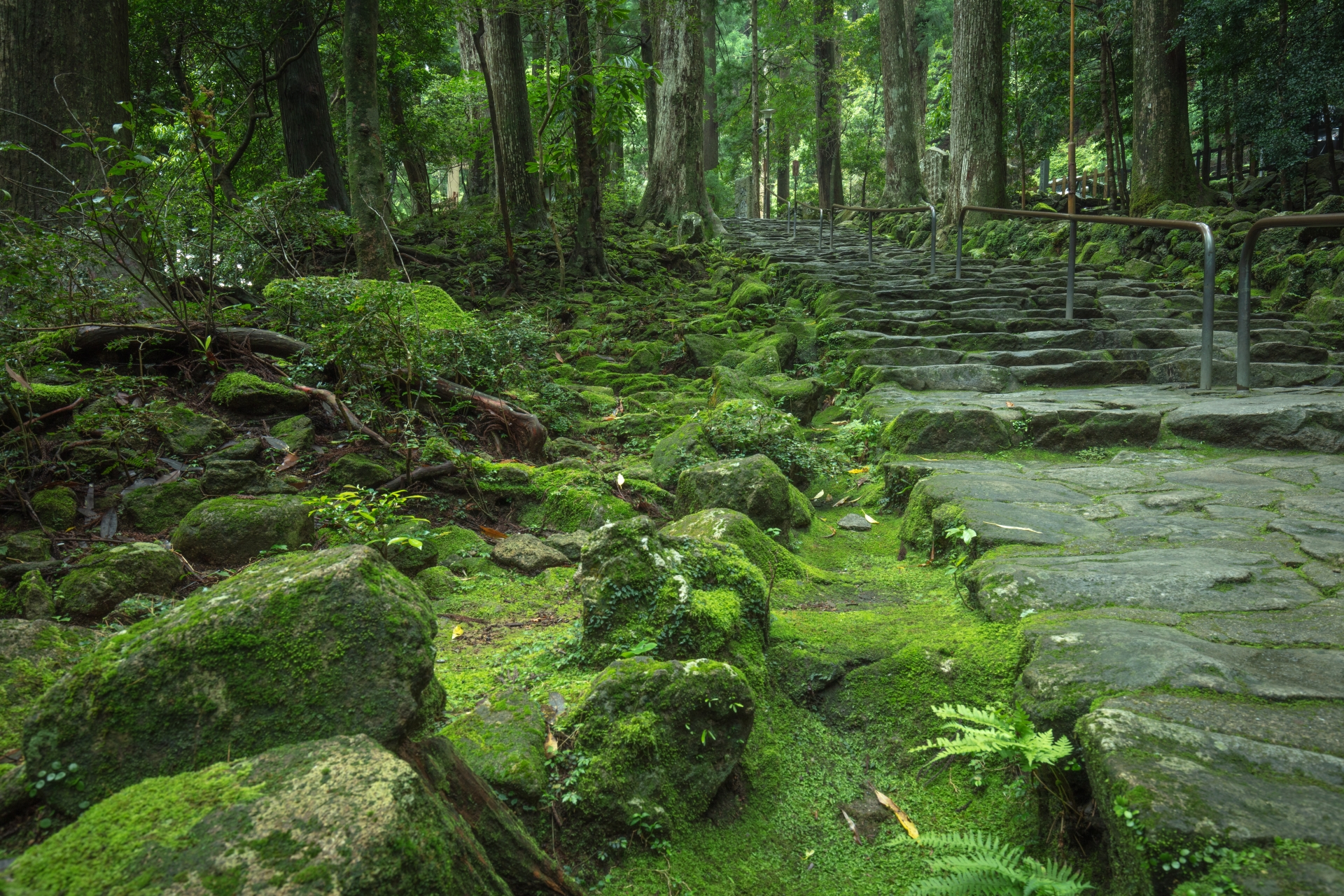 Atmospheric view of Nachi Falls - Japan Travel Guide