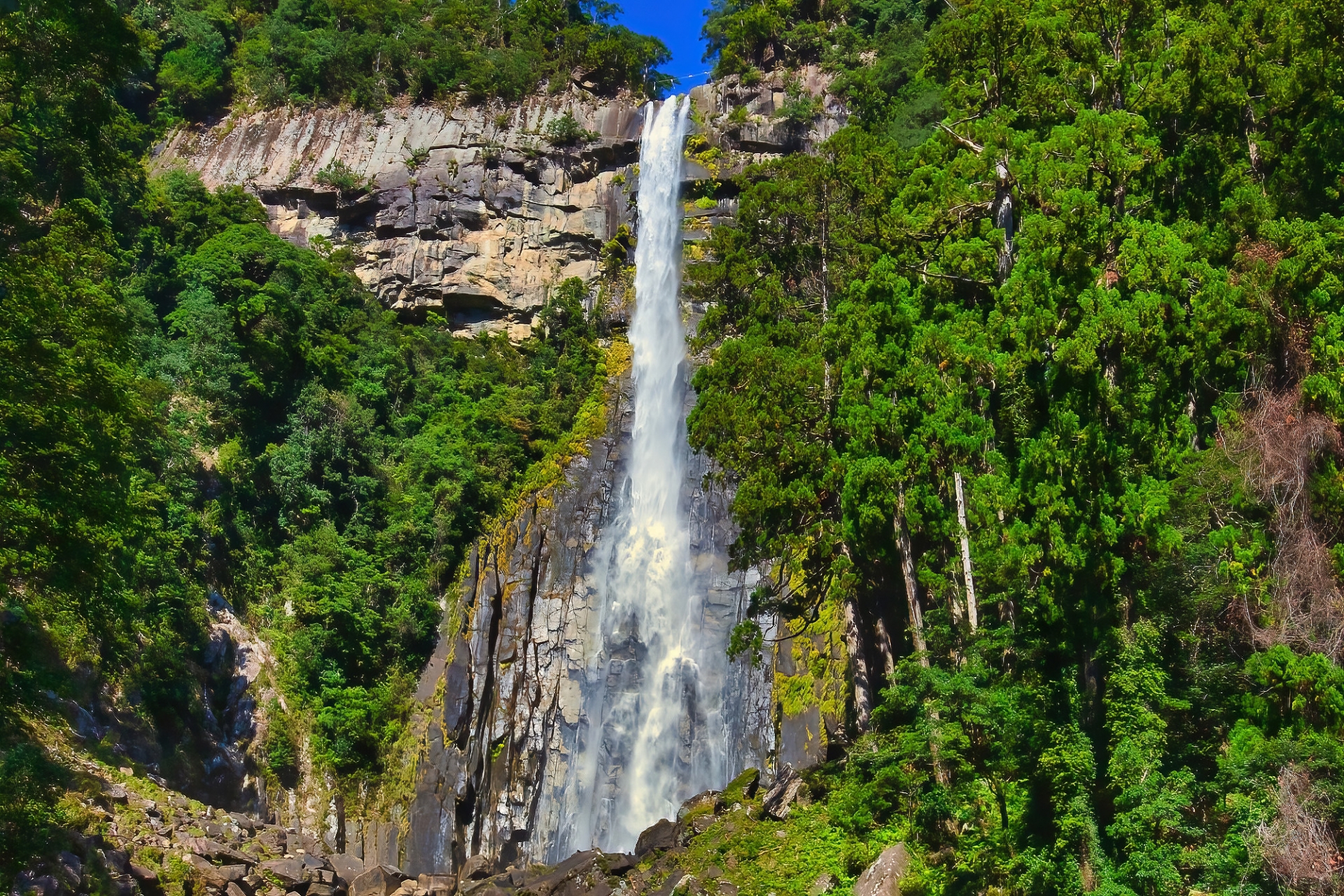 Where the Heavens Touch the Earth: A Spiritual Pilgrimage to Nachi Falls - Japan Travel Guide | HOROSPO
