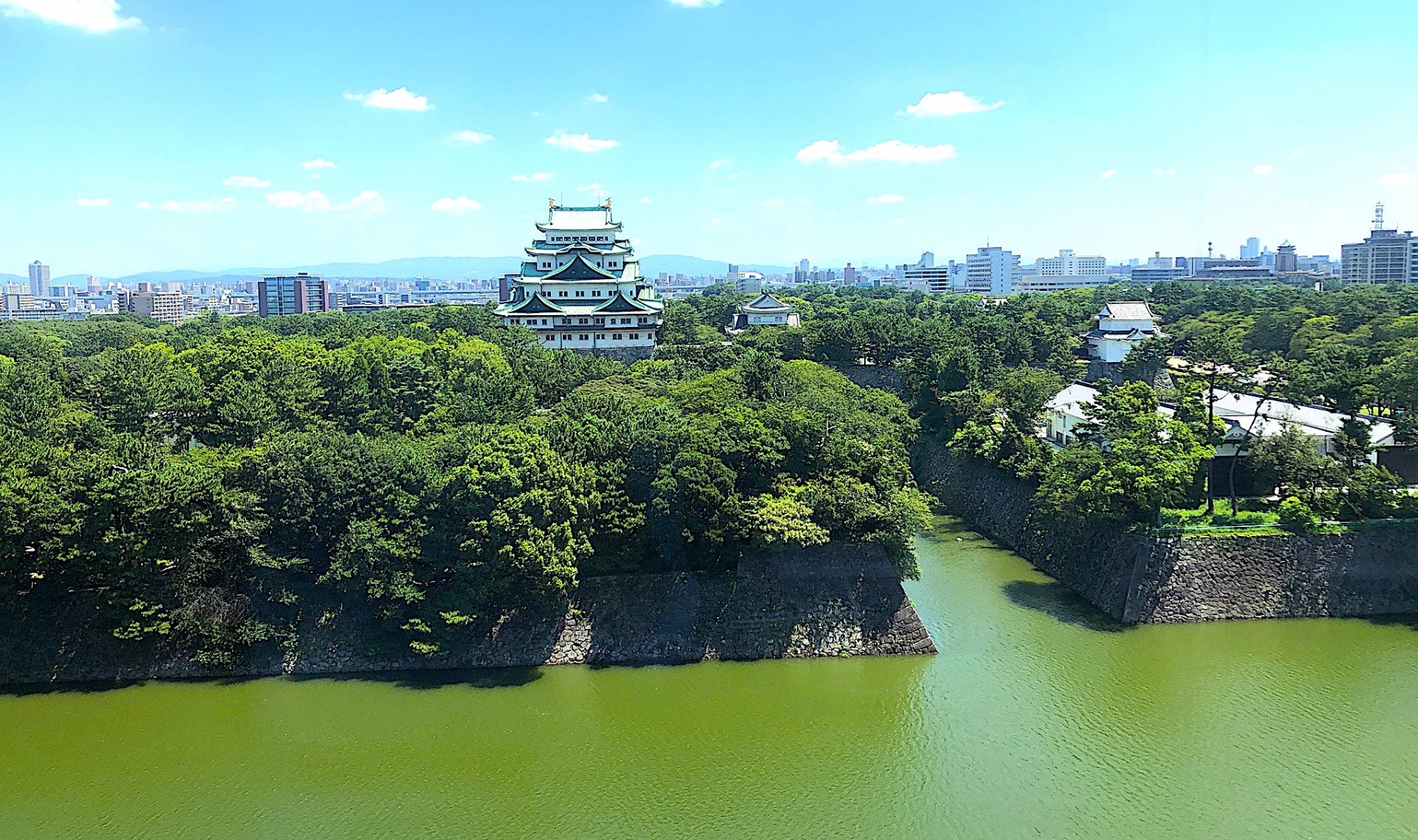 Golden Shachihoko: The Eternal Splendor of Nagoya’s Samurai Legacy - Japan Travel Guide | HOROSPO