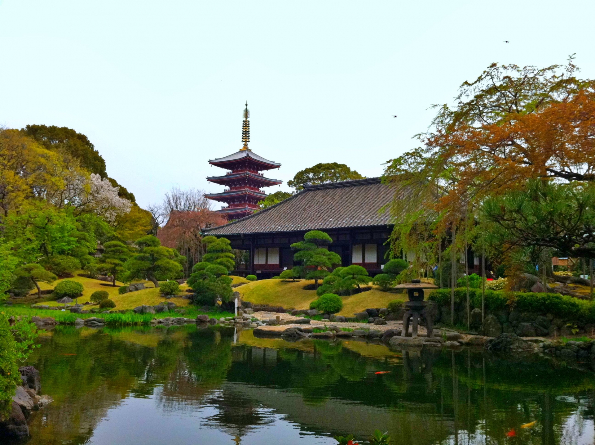 Denbo-in Garden - Best things to do in Asakusa Senso-ji