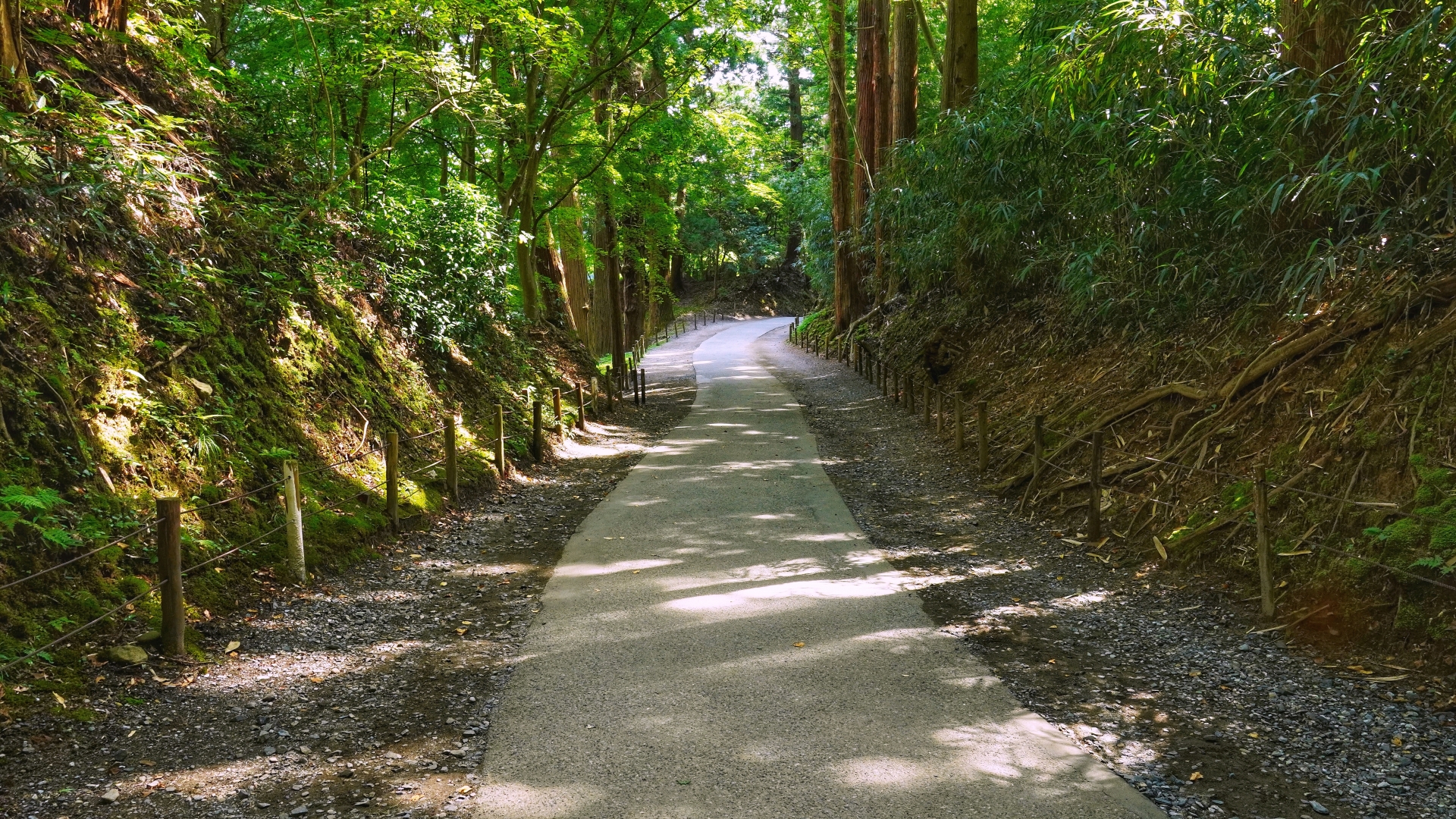 Tsukizaka Slope (Moon Viewing Slope) - Best things to do in Chusonji Temple