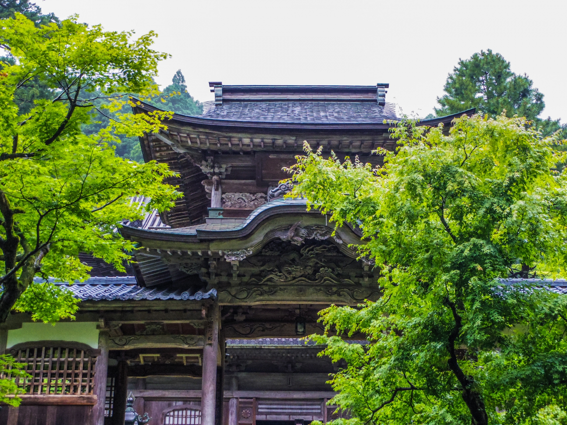 The Sanmon Gate - Best things to do in Eiheiji Temple