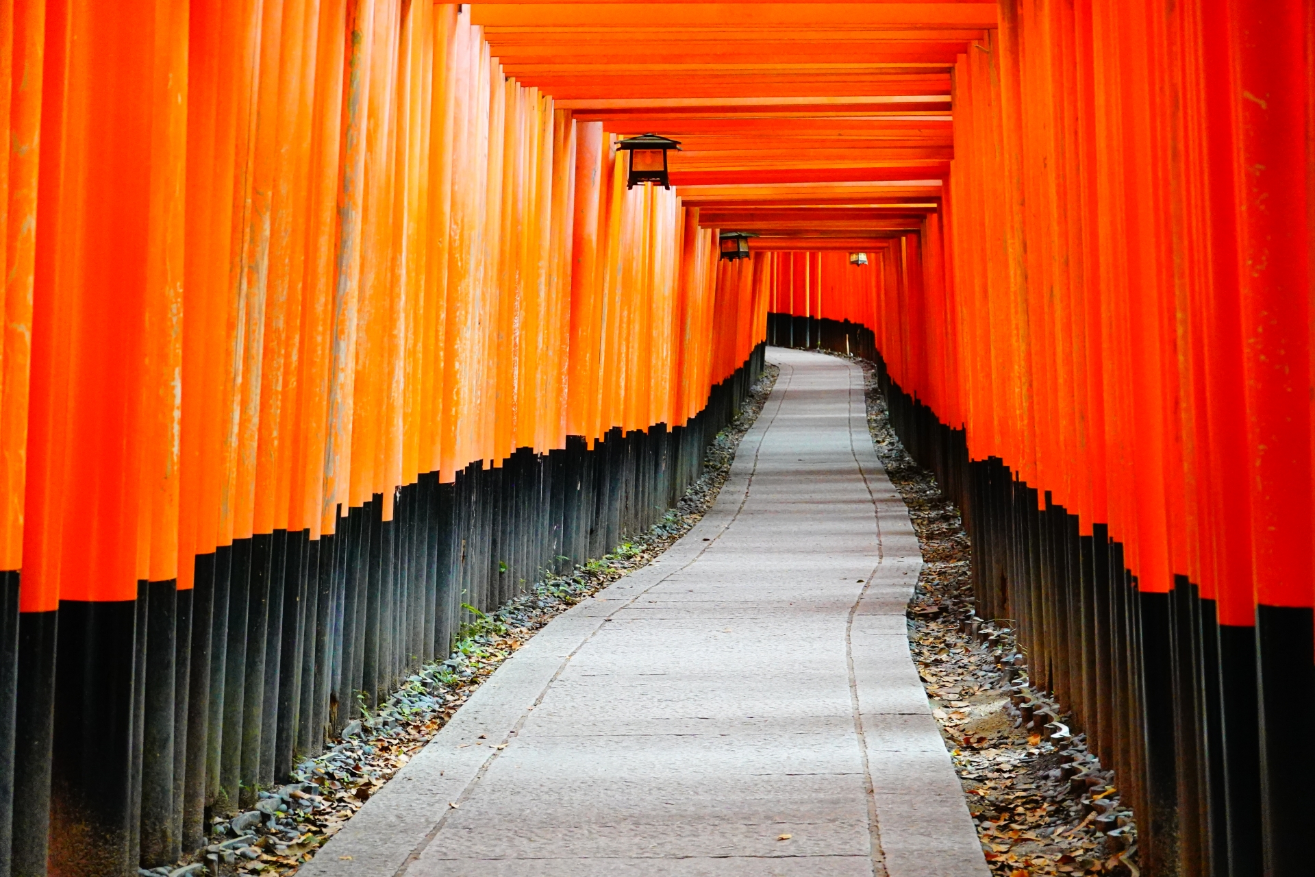 Senbon Torii (The Thousand Gates) - Best things to do in Fushimi Inari