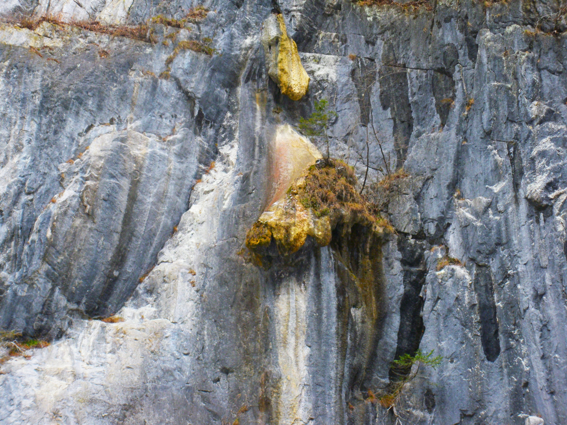 Shishigahama (The Lion’s Nose) - Best things to do in Geibikei Gorge