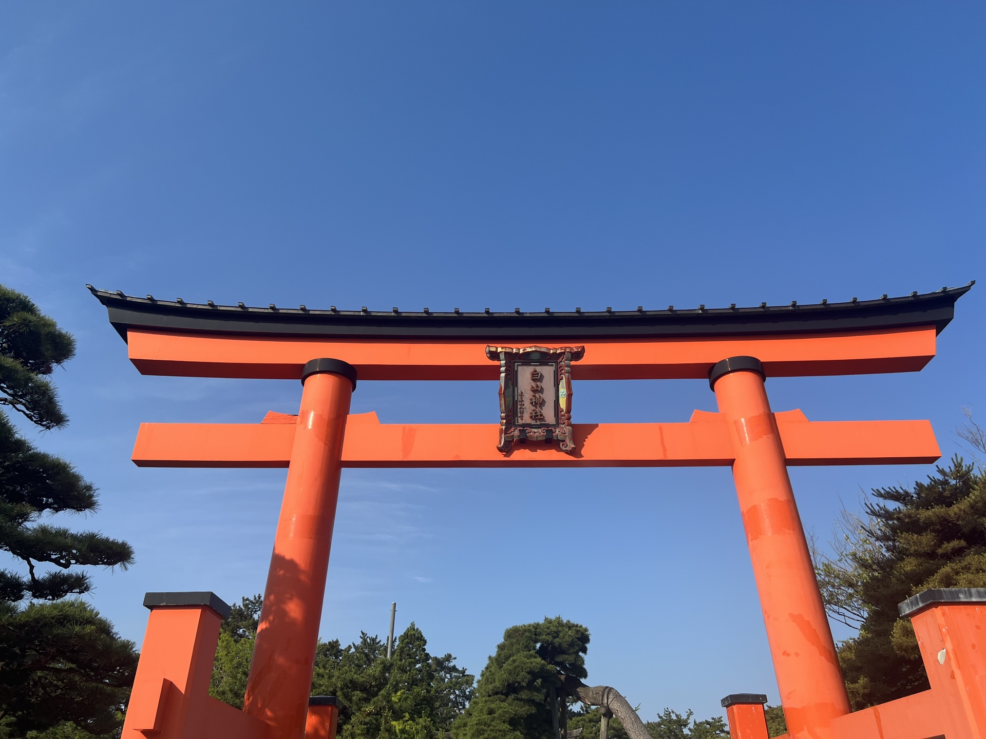 Hakusan Shrine - Best things to do in Hakusan Park