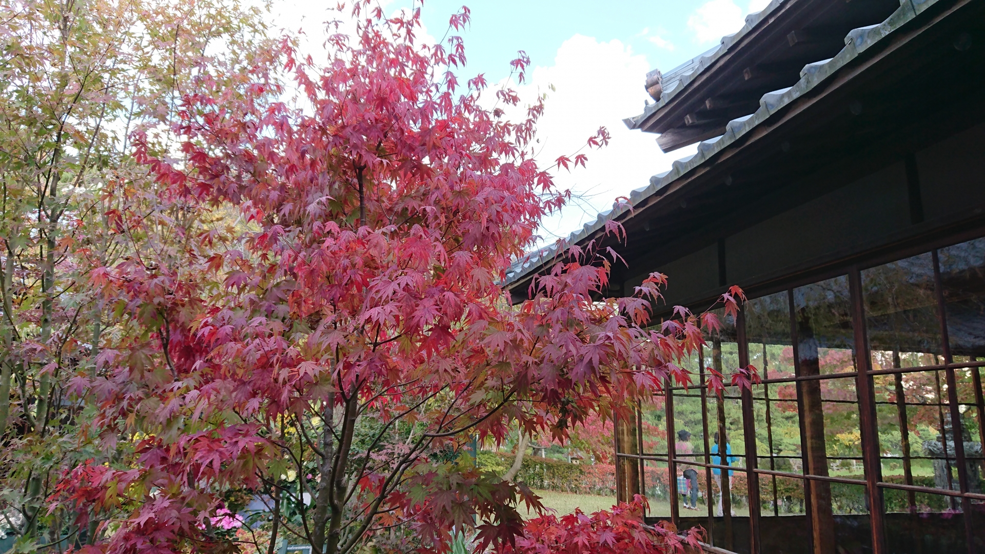 Enshokan Tea House - Best things to do in Hakusan Park