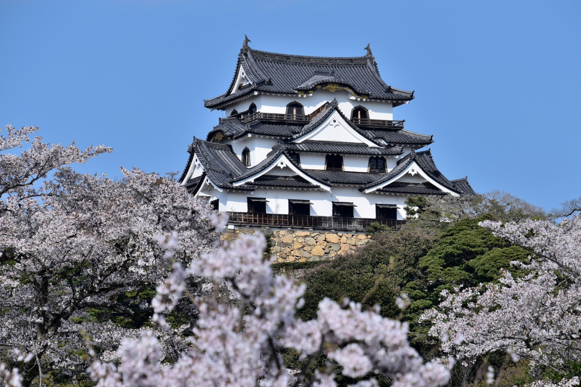 The Main Keep (Tenshu) - Best things to do in Hikone Castle