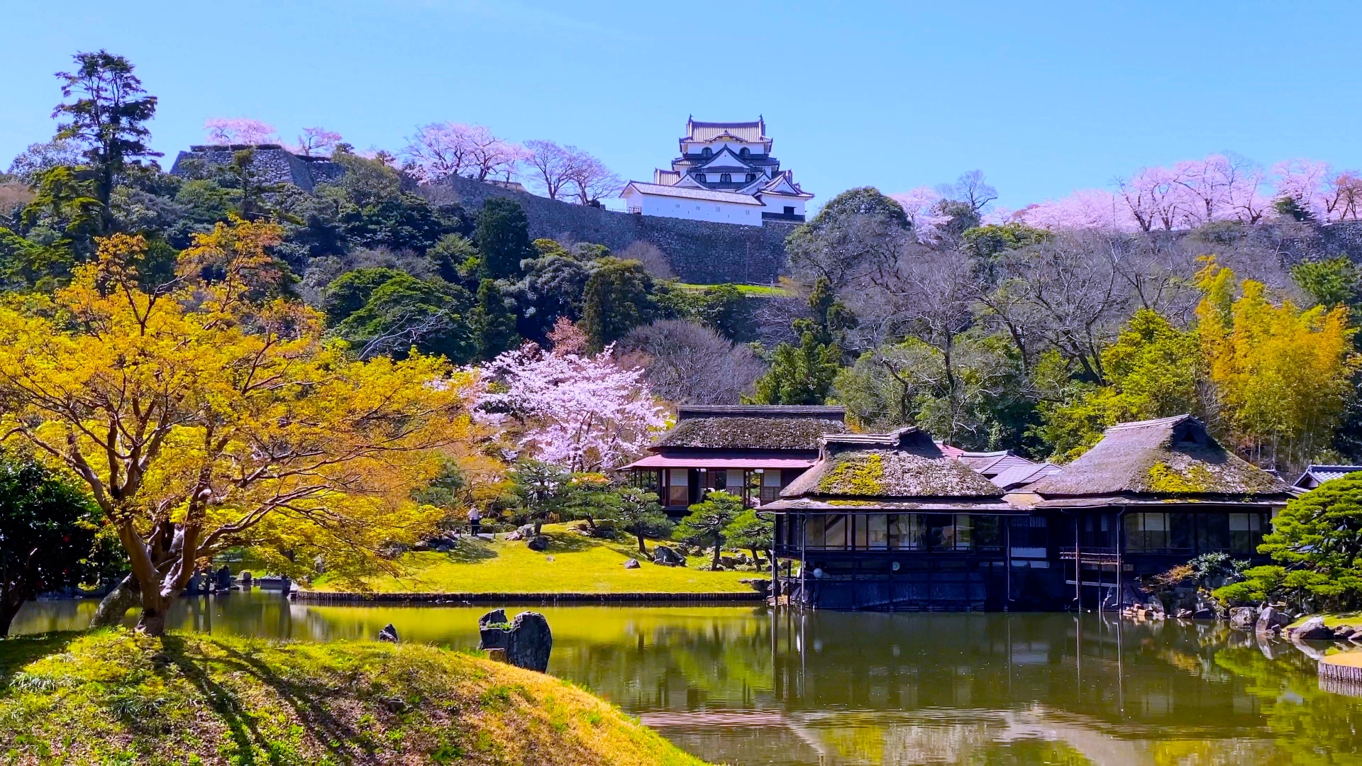 Genkyu-en Garden - Best things to do in Hikone Castle