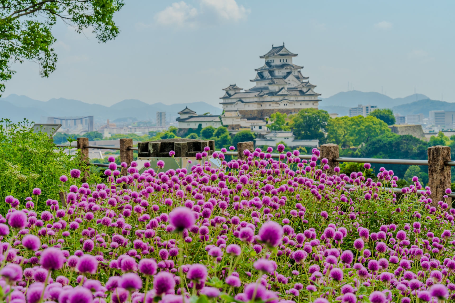 Otokoyama Haisuiike Park - Best things to do in Himeji Castle