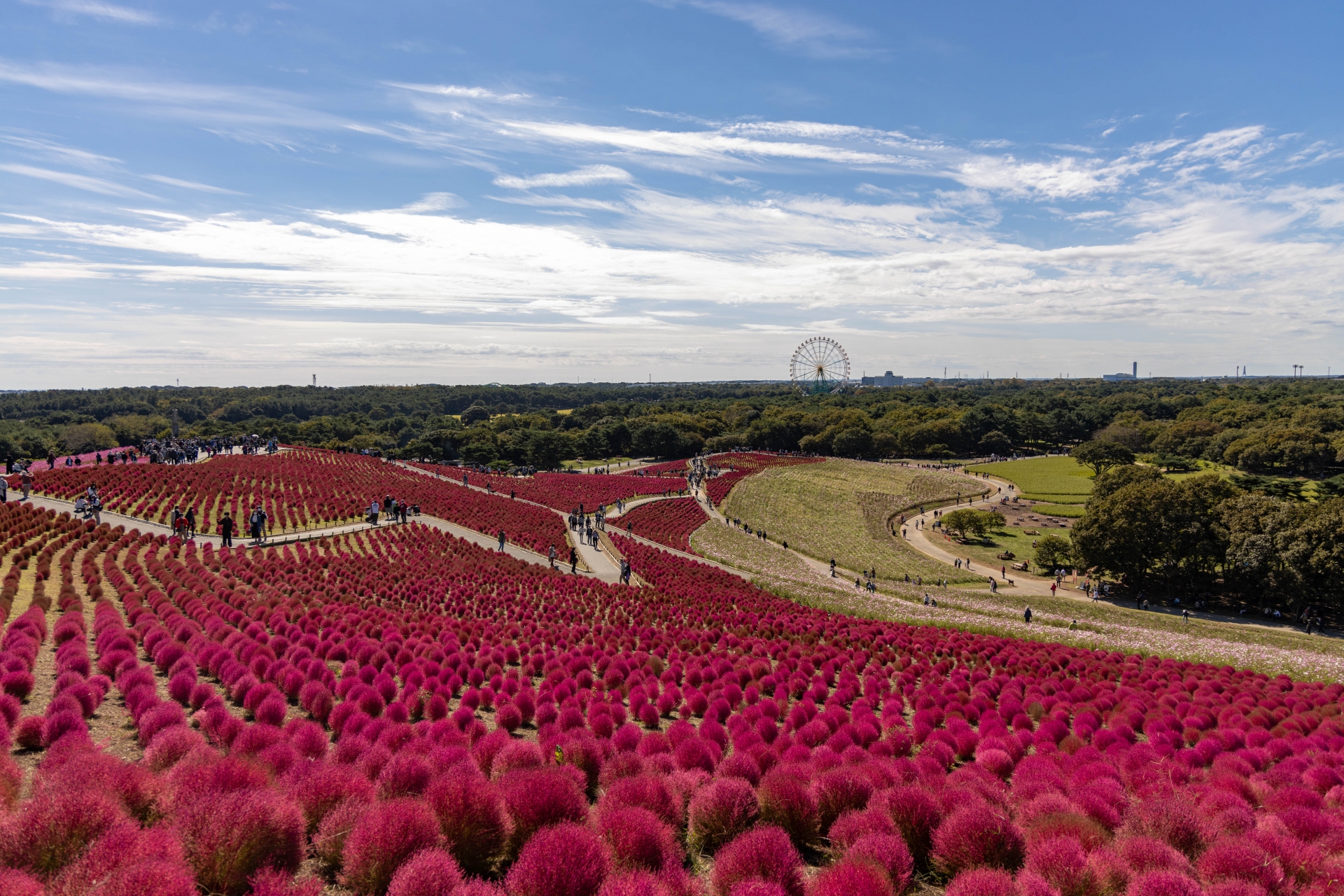 Miharashi Hill - Best things to do in Hitachi Seaside Park