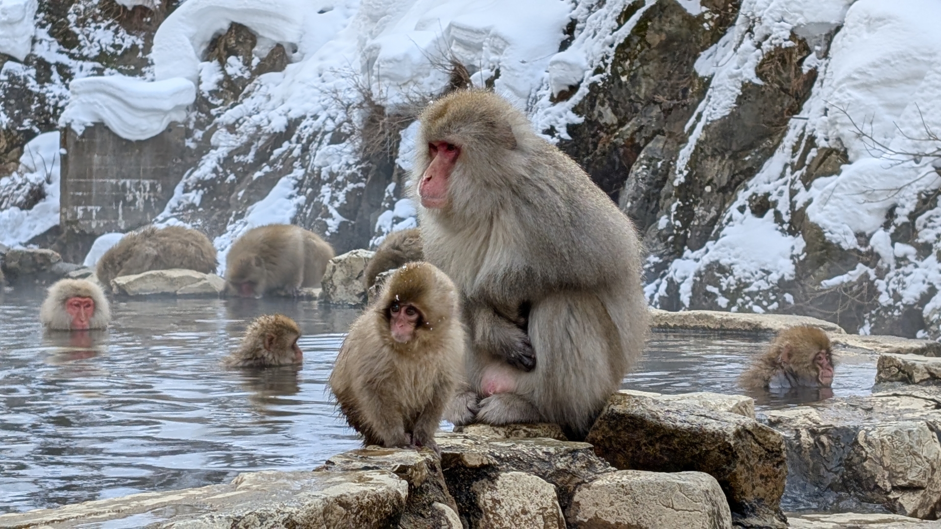 The Main Thermal Pool - Best things to do in Jigokudani Monkey Park