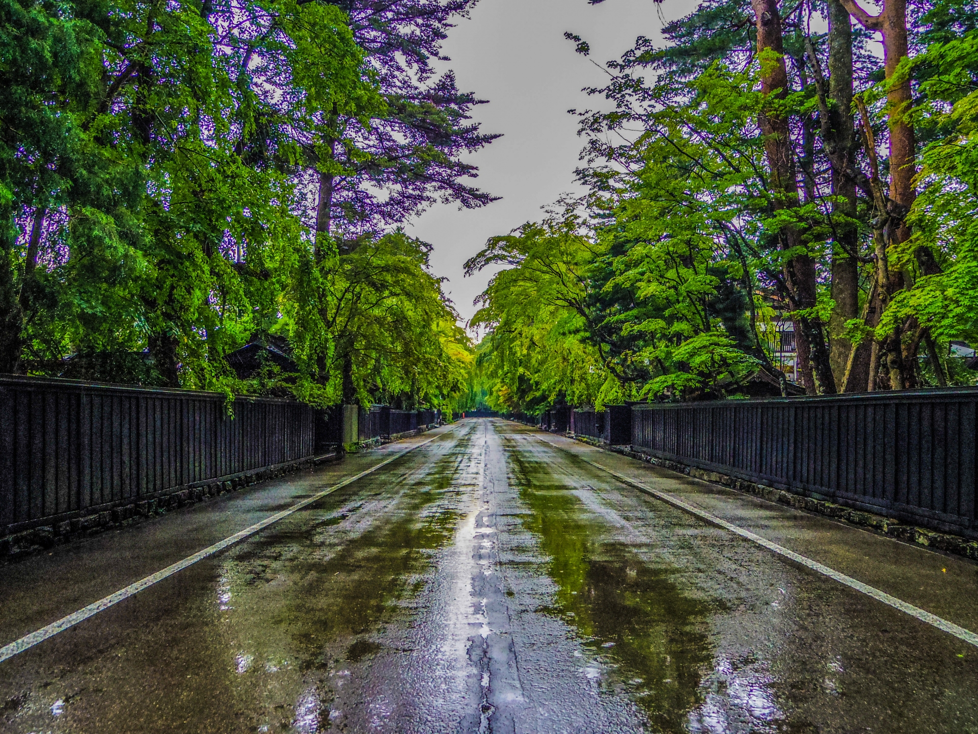 Bukeyashiki-dori (Samurai District) - Best things to do in Kakunodate