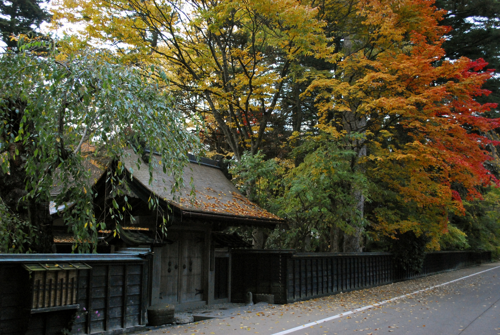 Aoyagi Samurai Manor Museum - Best things to do in Kakunodate