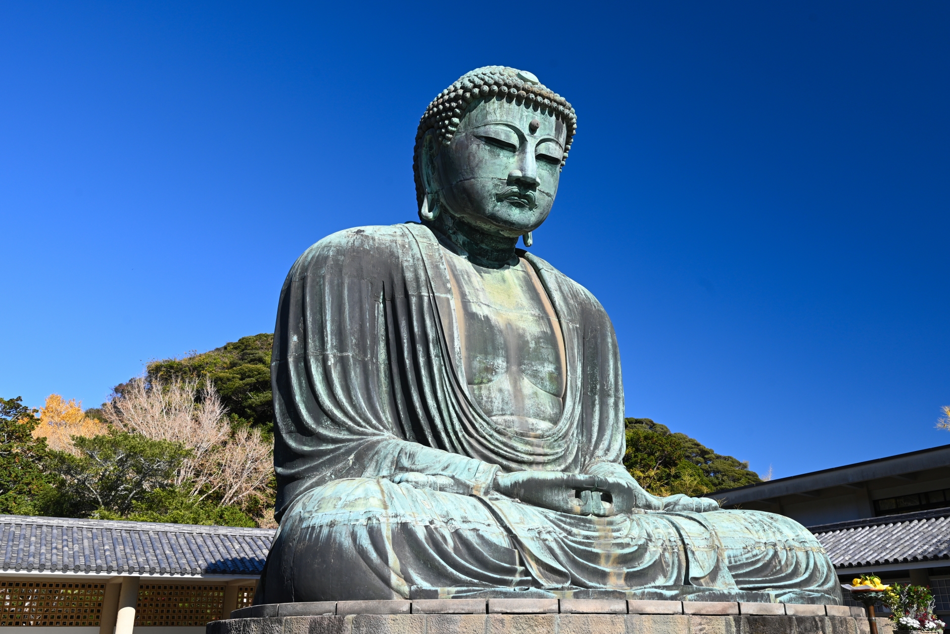 Kotoku-in (The Great Buddha) - Best things to do in Kamakura City