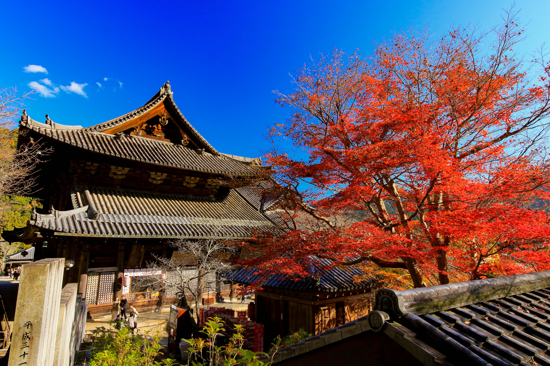 Hasedera Temple - Best things to do in Kotoku-in
