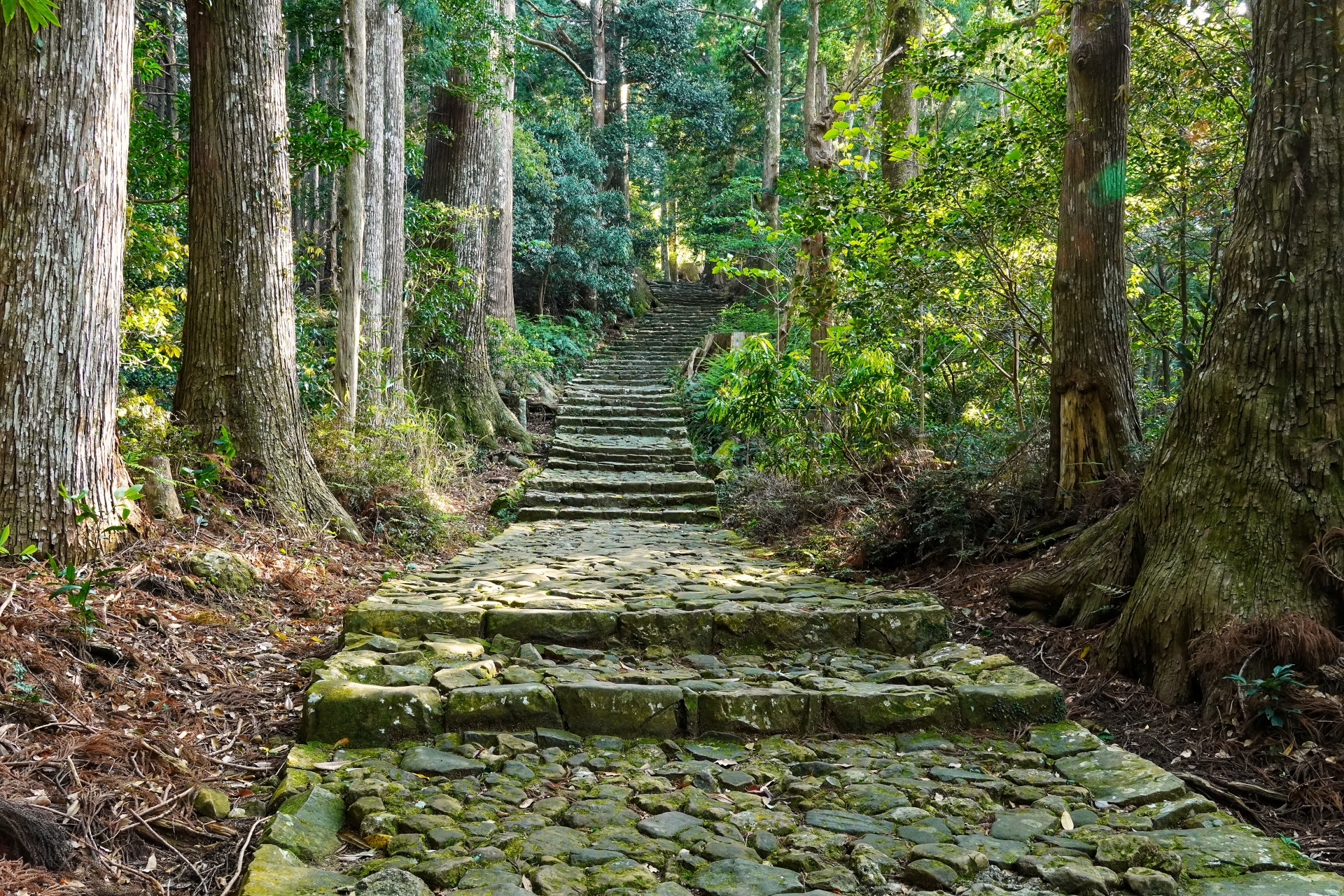 Daimon-zaka - Best things to do in Kumano Kodo Trail
