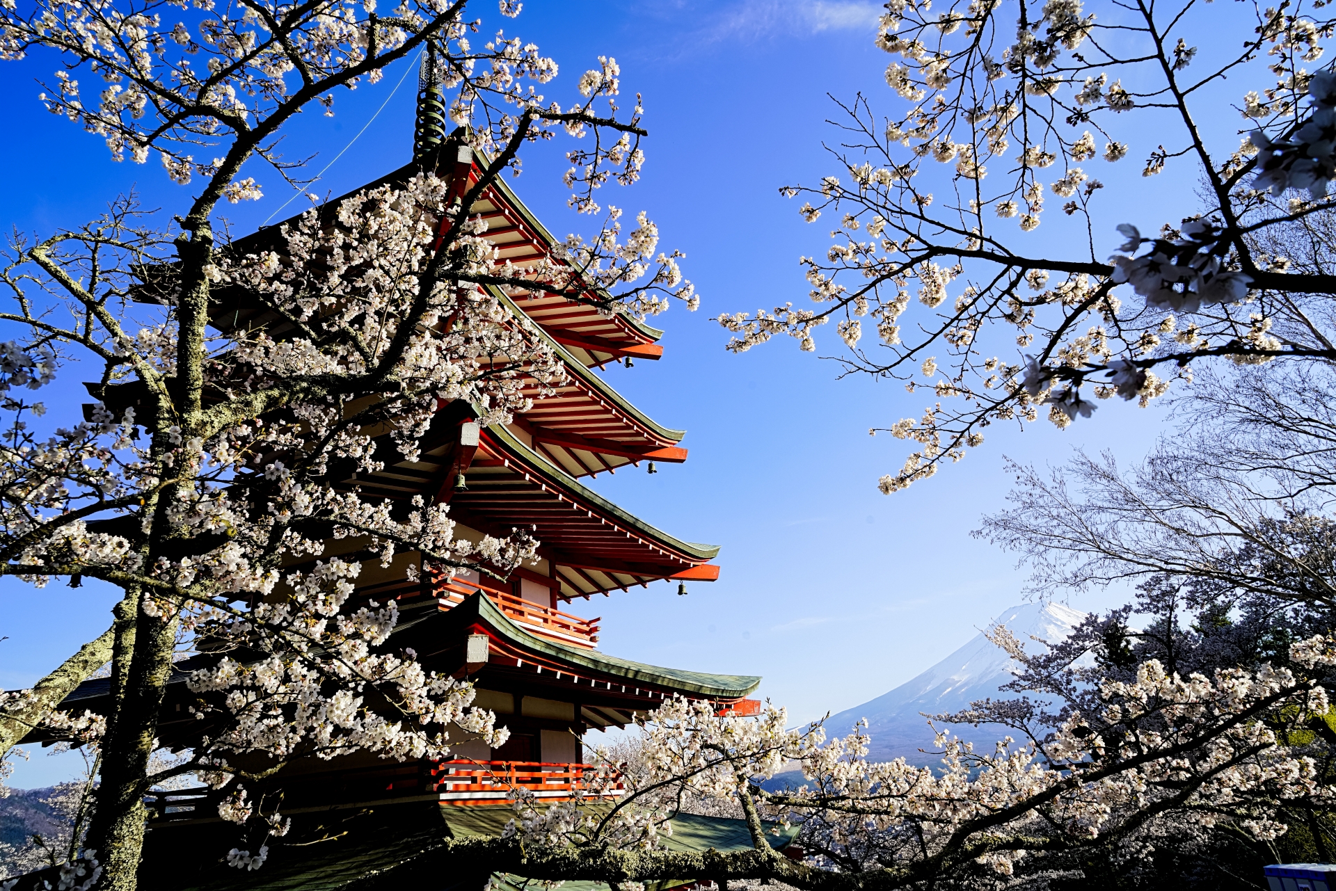 Chureito Pagoda - Best things to do in Lake Kawaguchi
