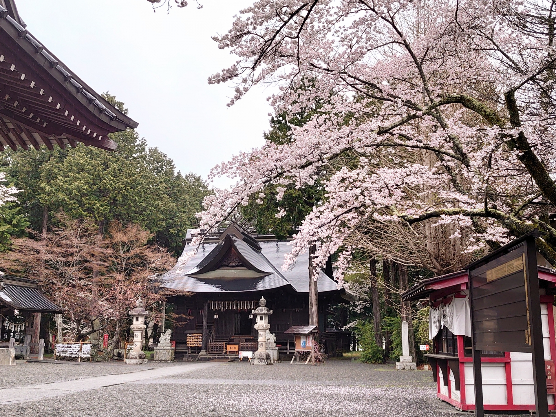 Kawaguchi Asama Shrine - Best things to do in Lake Kawaguchi