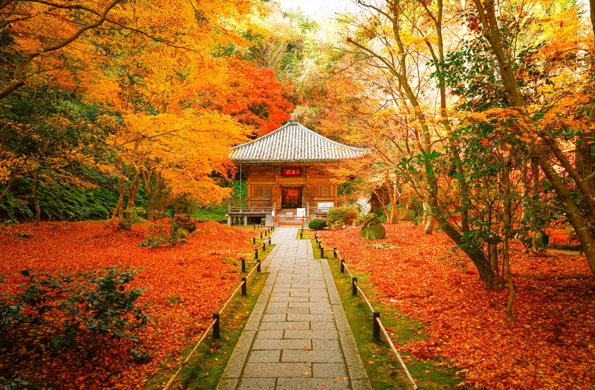 Fukuurajima Island - Best things to do in Matsushima Bay