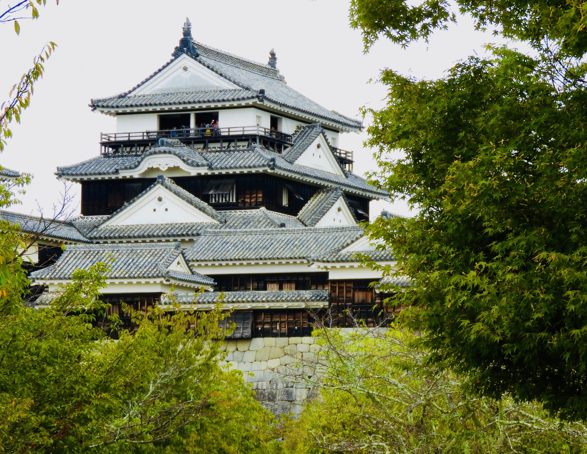 The Honmaru Main Keep - Best things to do in Matsuyama Castle