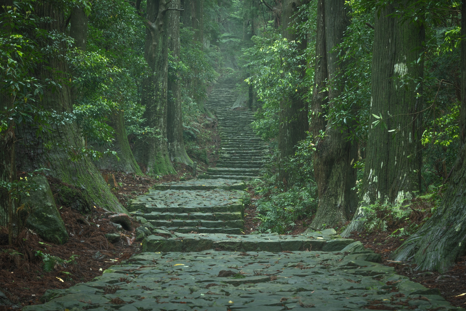 Daimon-zaka Slope - Best things to do in Nachi Falls