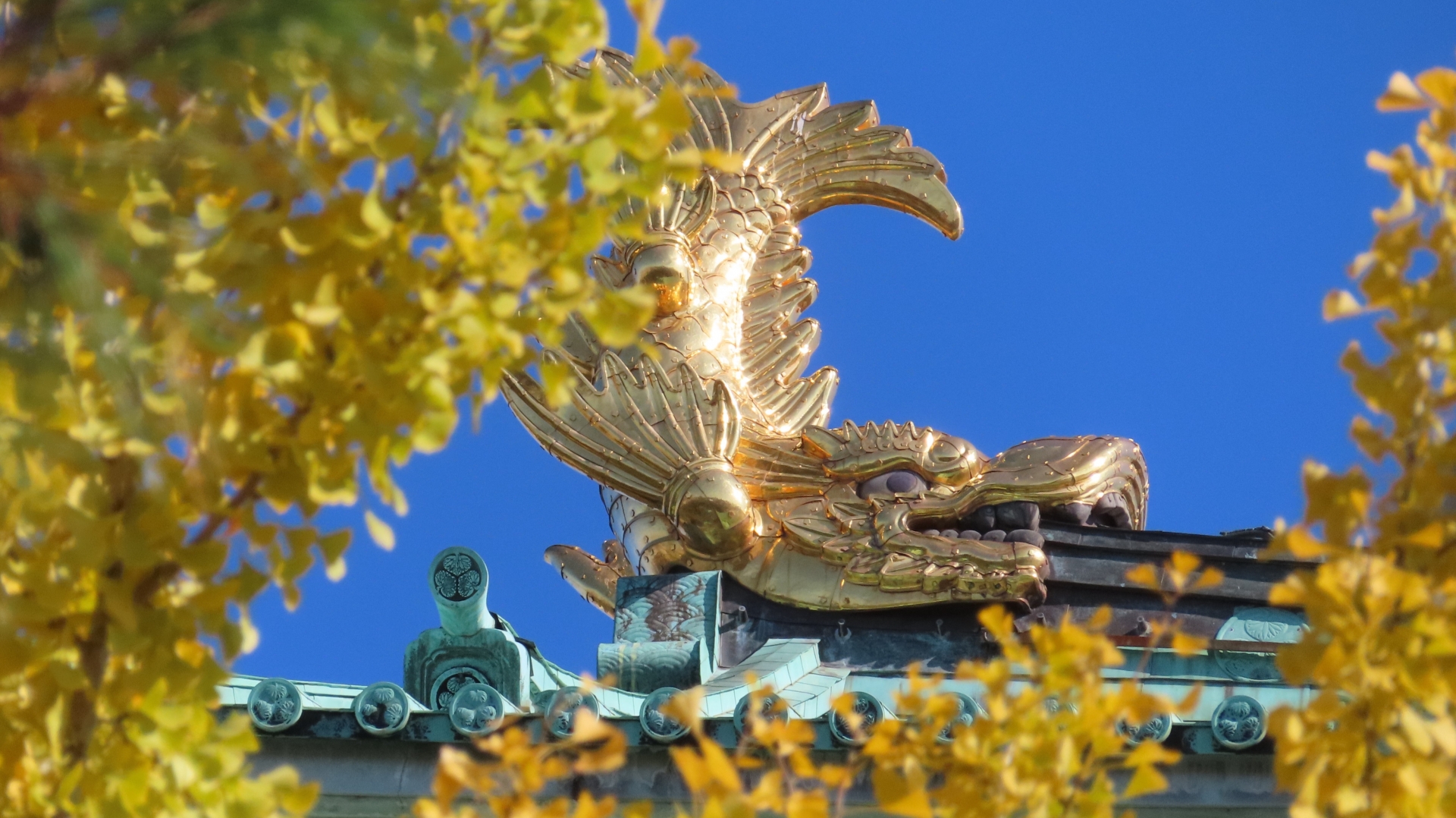 The Main Keep & Golden Shachihoko - Best things to do in Nagoya Castle