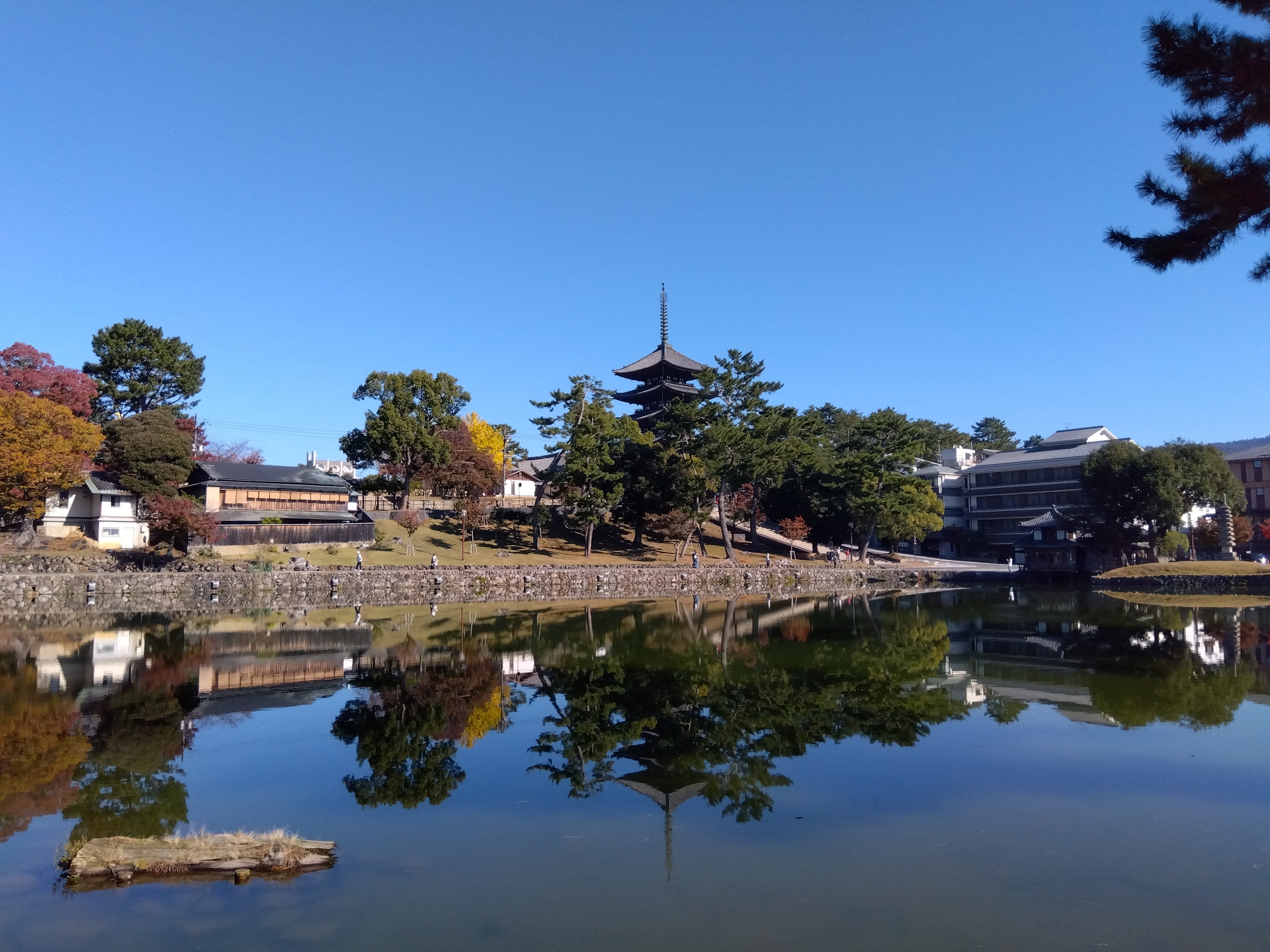 Sarusawa-ike Pond - Best things to do in Nakatanidou