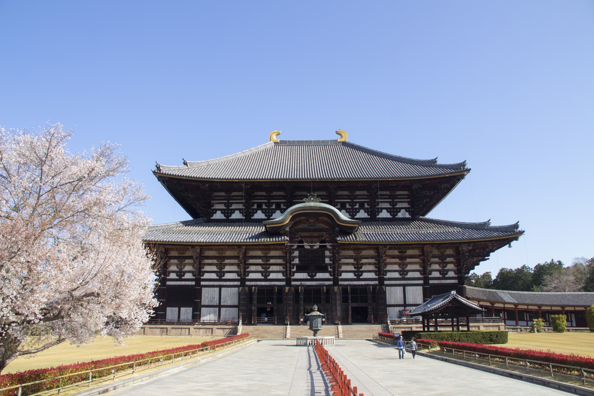 Todai-ji Temple (Daibutsu-den) - Best things to do in Nara Park