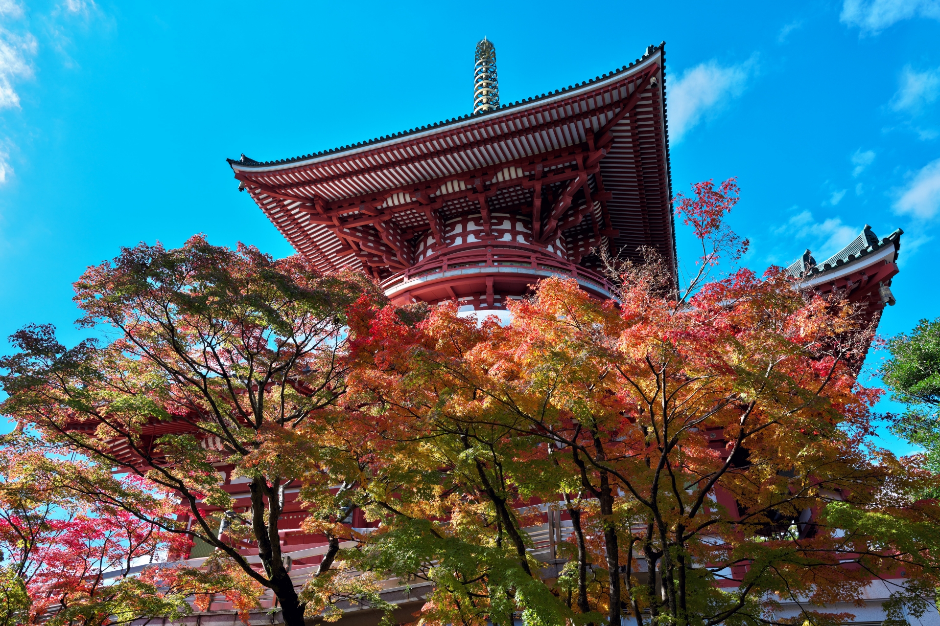 The Great Pagoda of Peace (Heiwa no Daito) - Best things to do in Naritasan Shinsho-ji