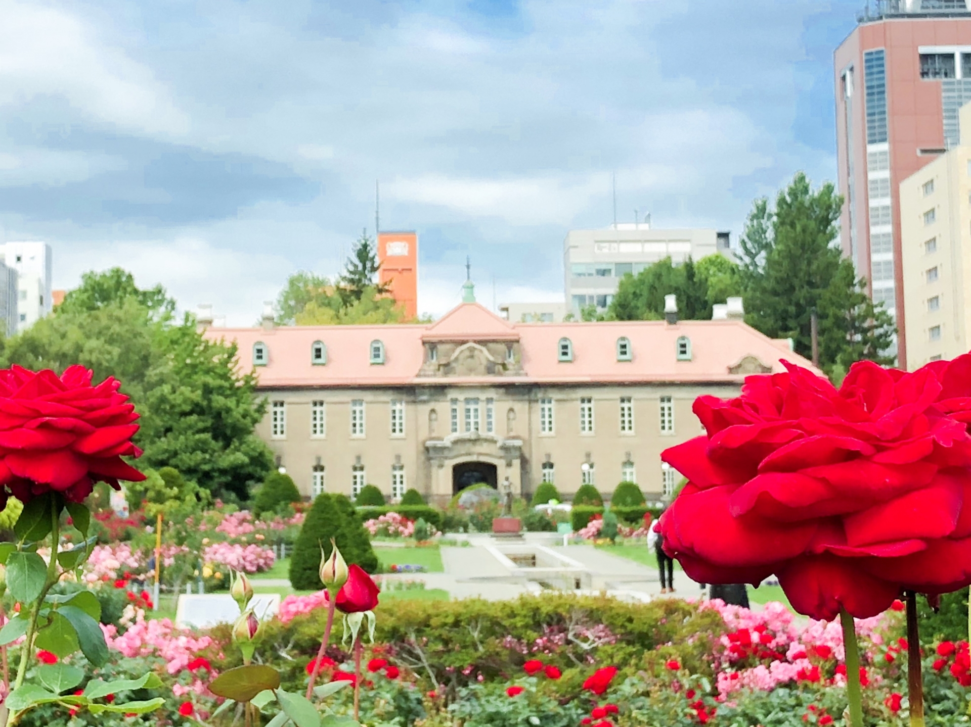 Odori Park Rose Garden - Best things to do in Odori Park