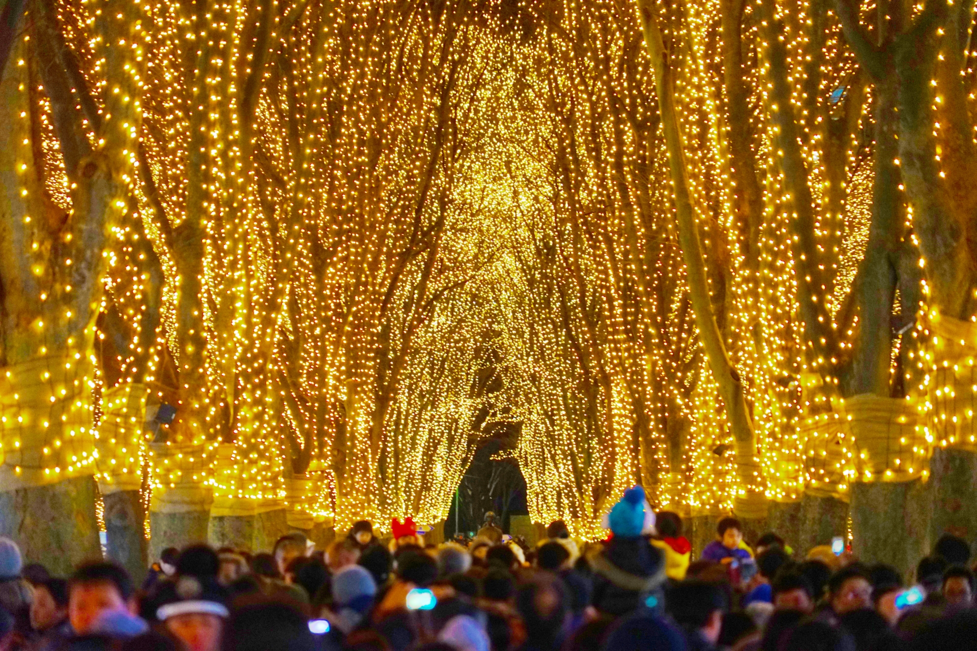 Jozenji-dori Avenue - Best things to do in Sendai Station