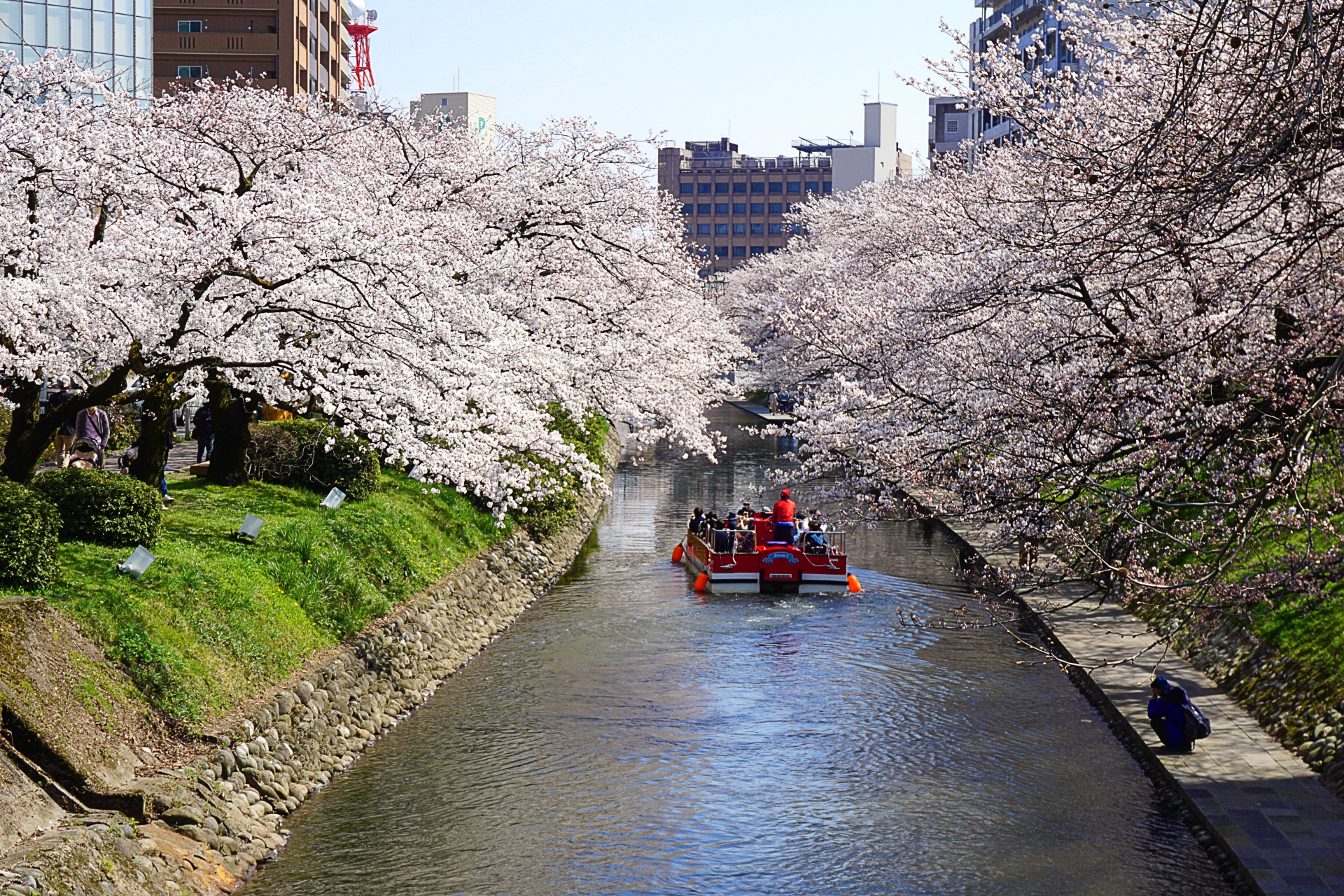 Matsukawa River Cruise - Best things to do in Toyama Castle