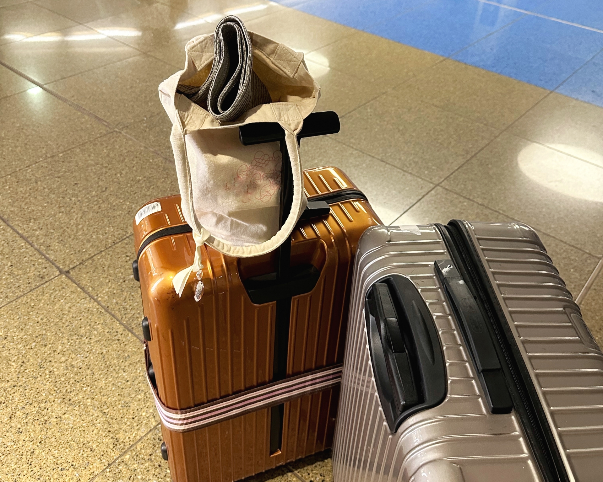 Why I Never Drag My Bags: My Secrets to Beating the 3 PM Japan Check-In
