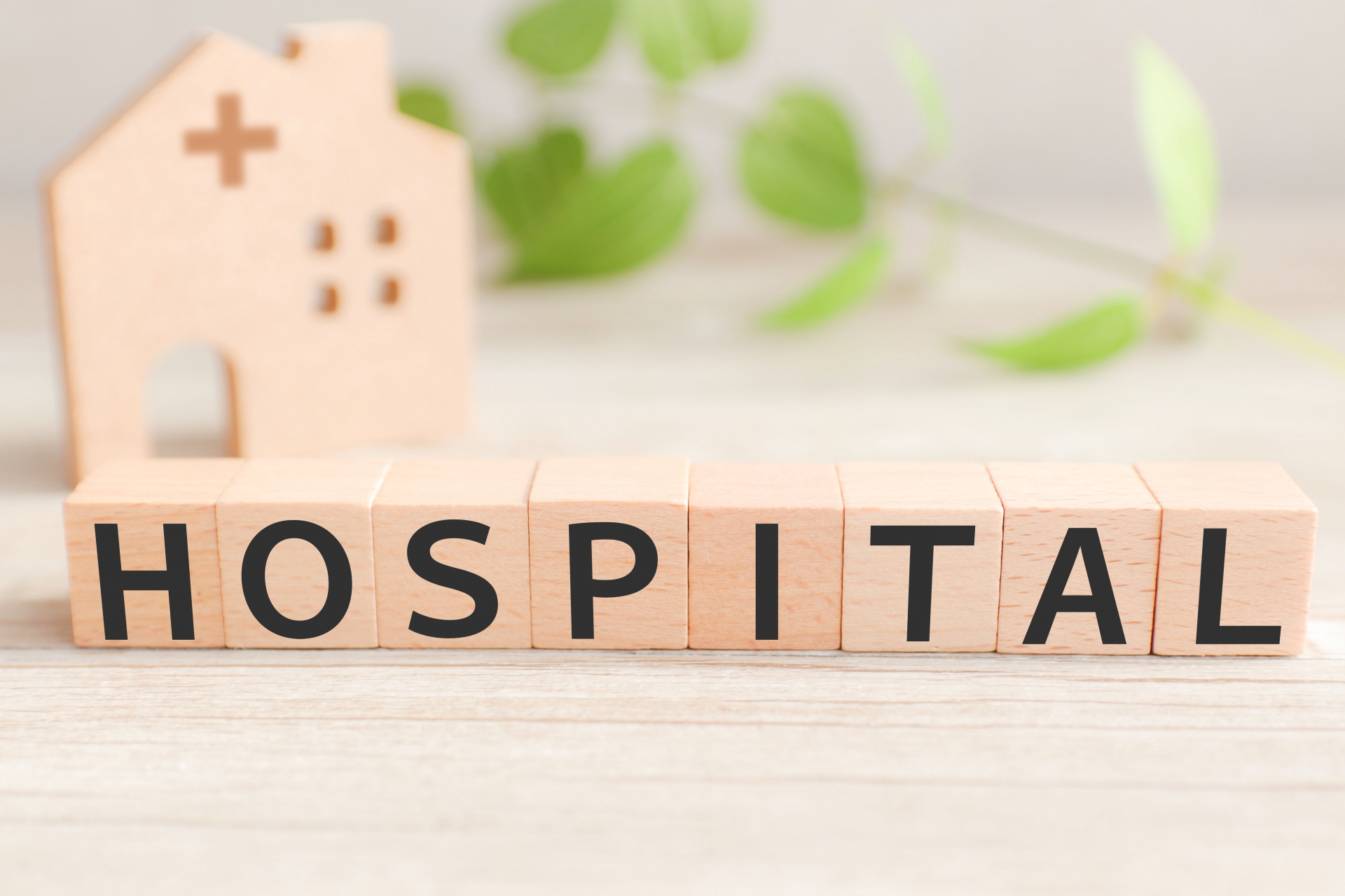 Navigating Japan’s Healthcare System in 2026: A Strategic Guide for English Speakers