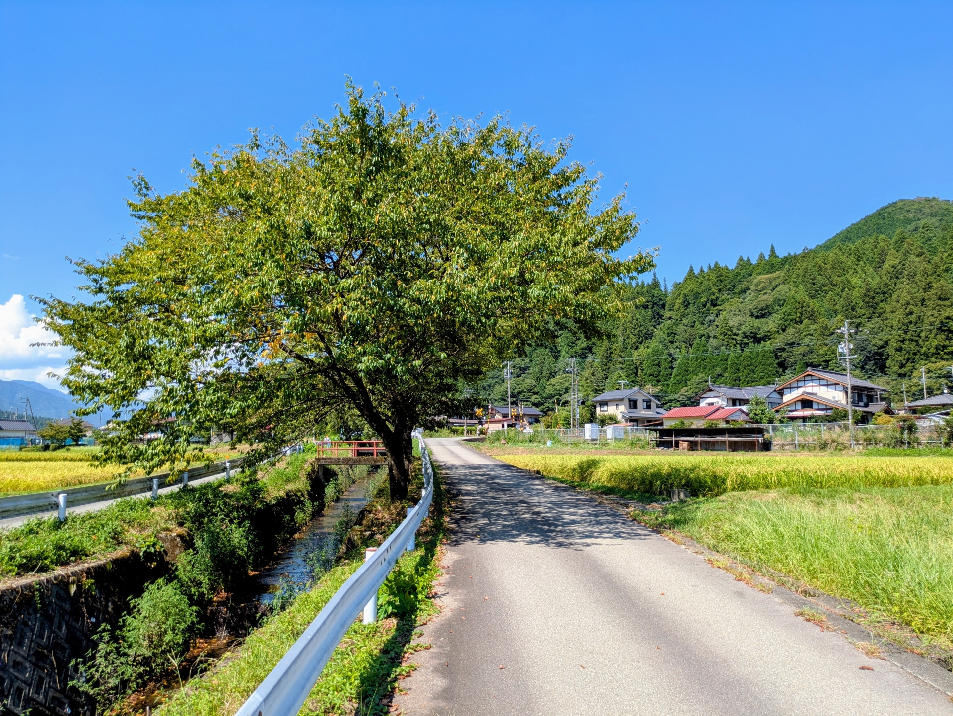 Why I’m Done Chasing Viral Spots: My 2025 Secrets to Finding Real Japan